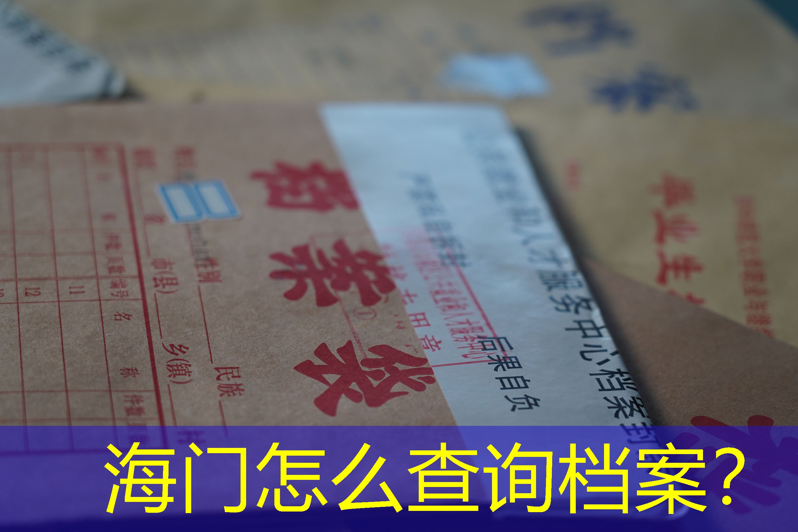 档案查询
