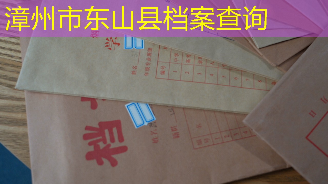 档案查询