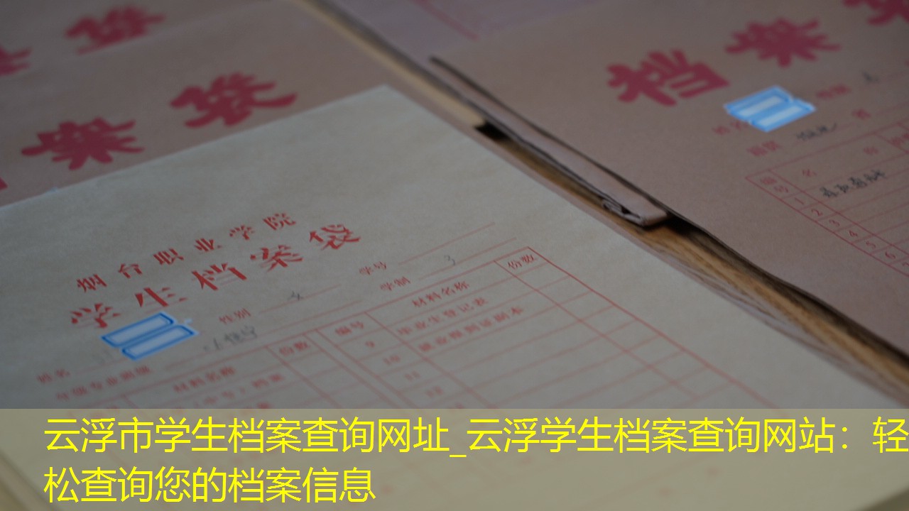 档案查询