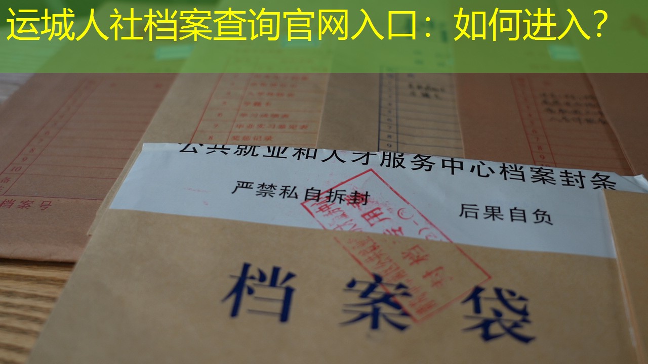 档案查询