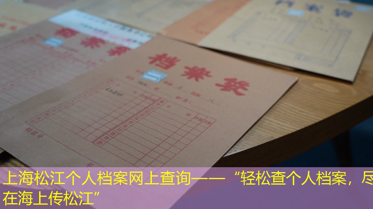 档案查询