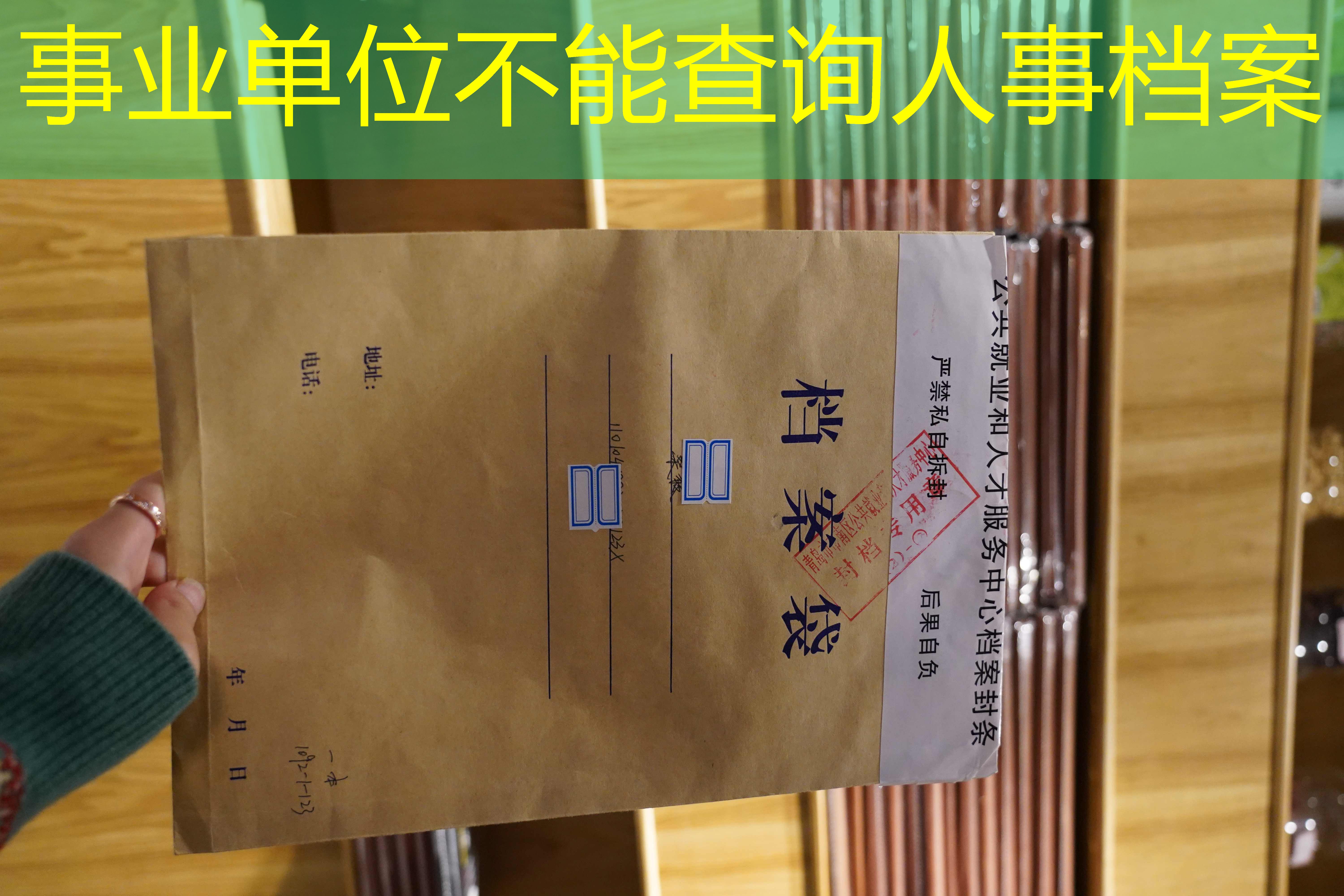 档案查询