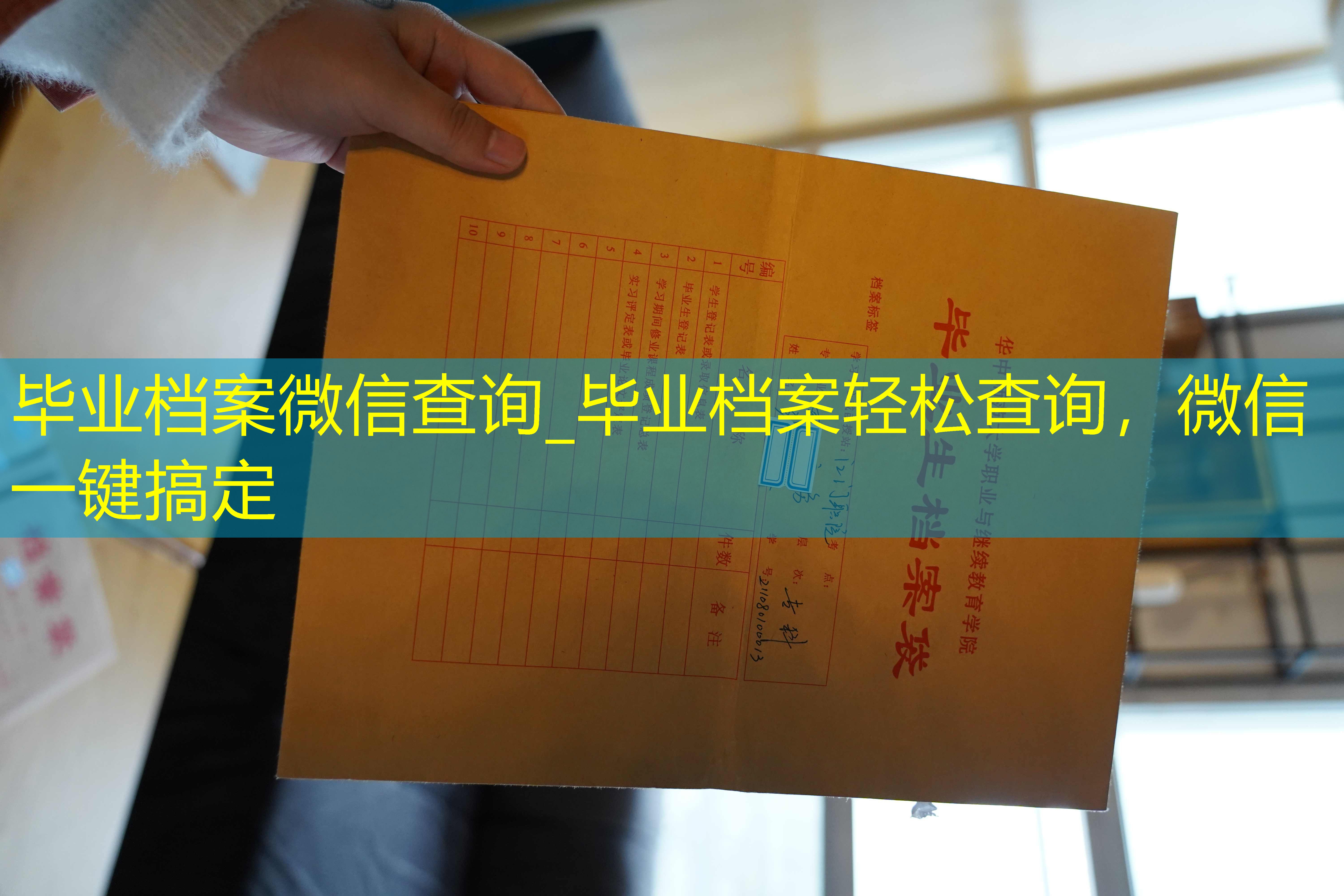 档案查询