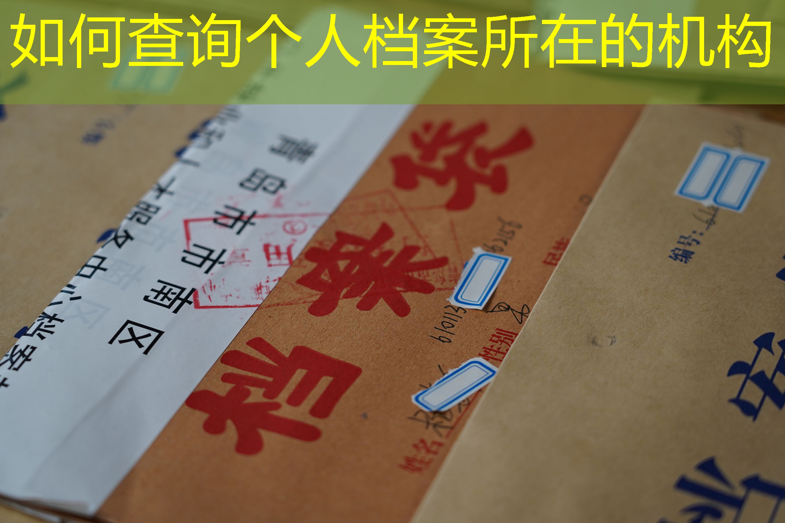 档案查询