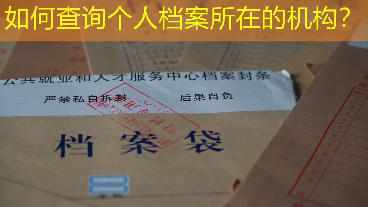 档案查询
