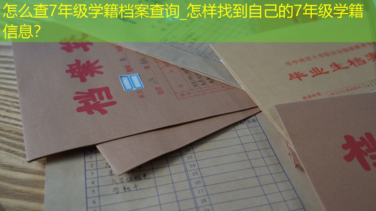 档案查询