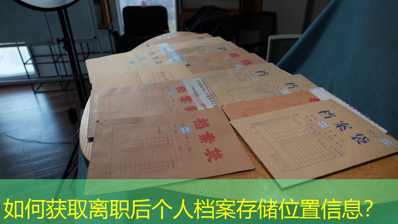 档案查询