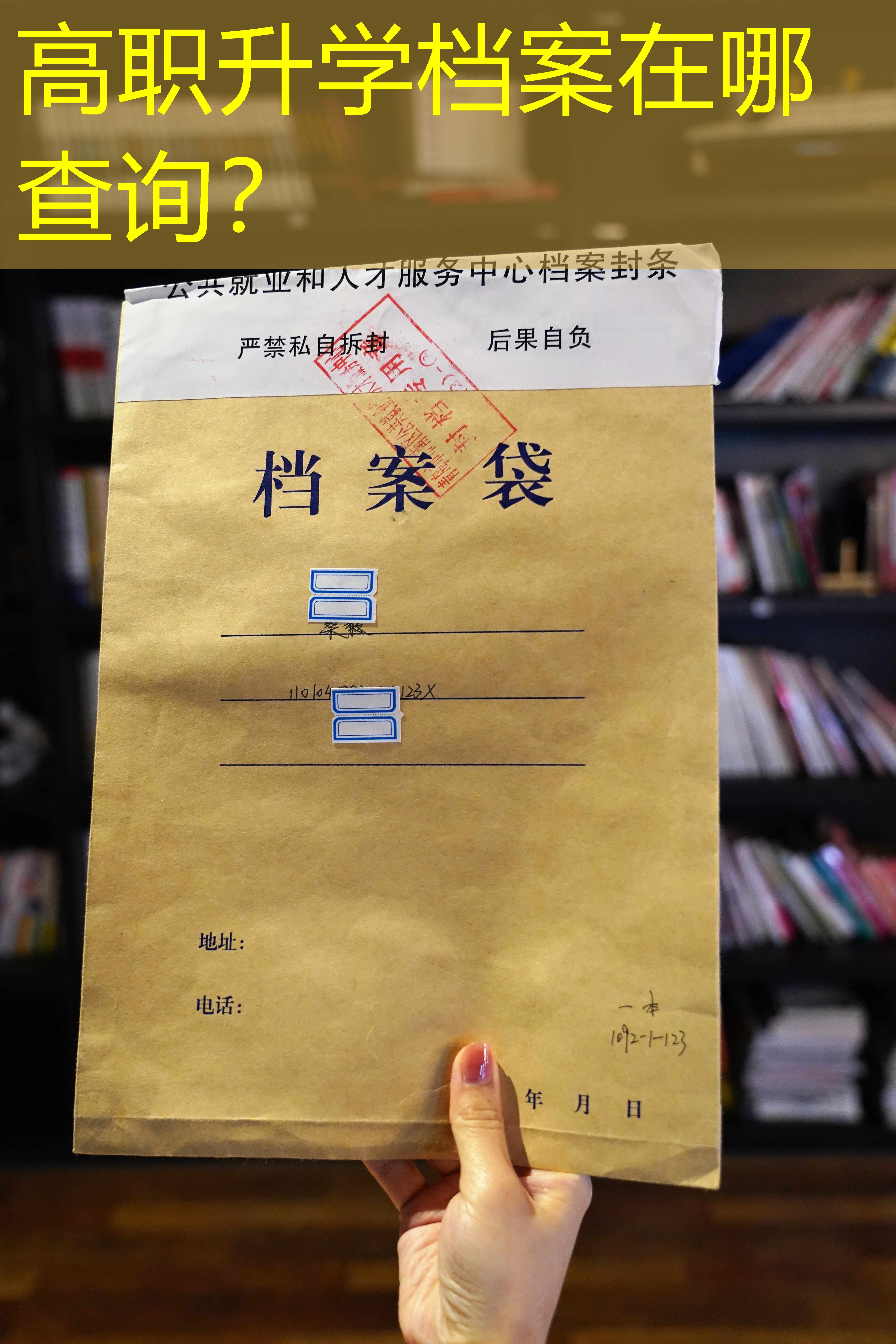 档案查询