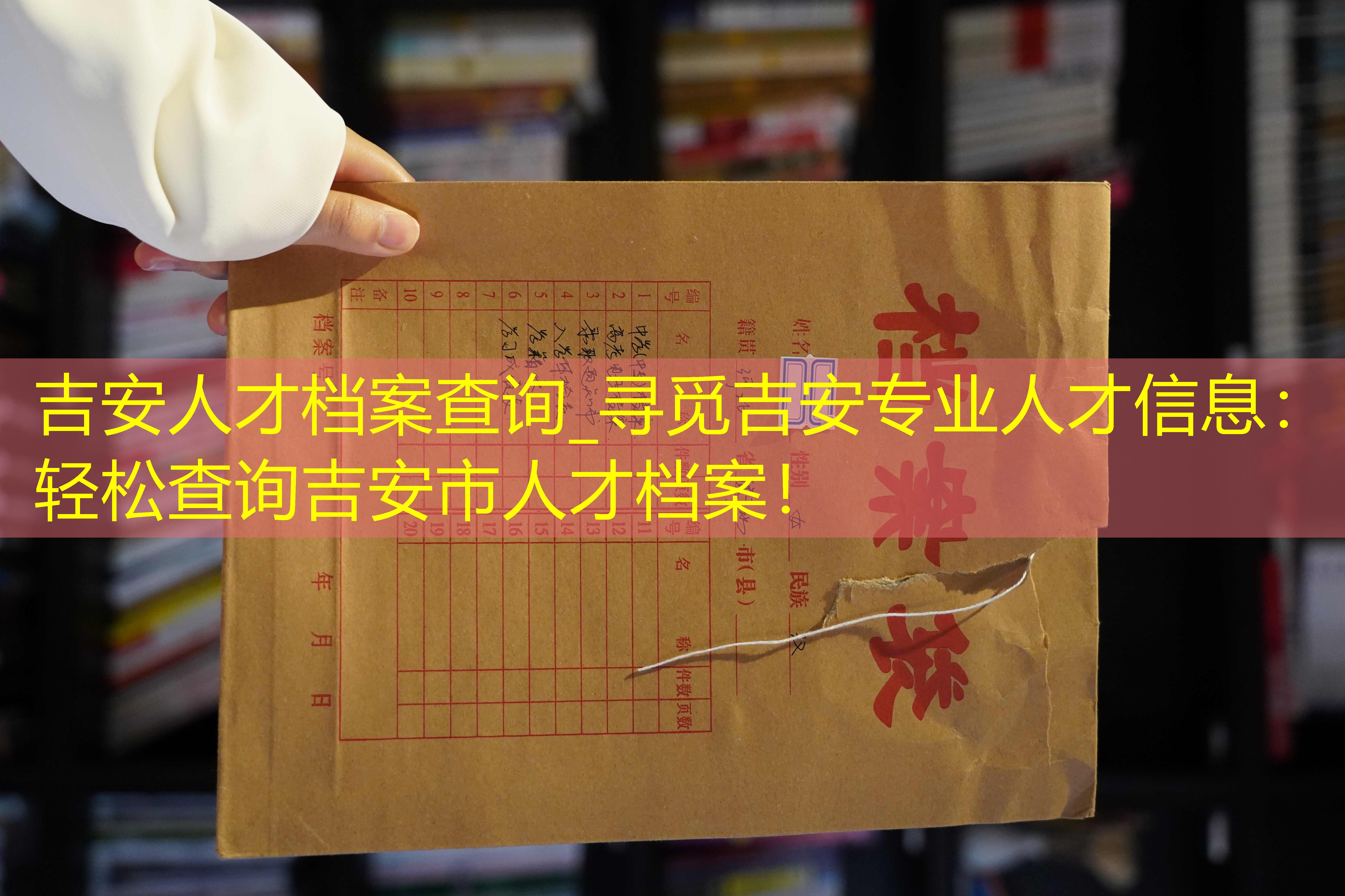 档案查询