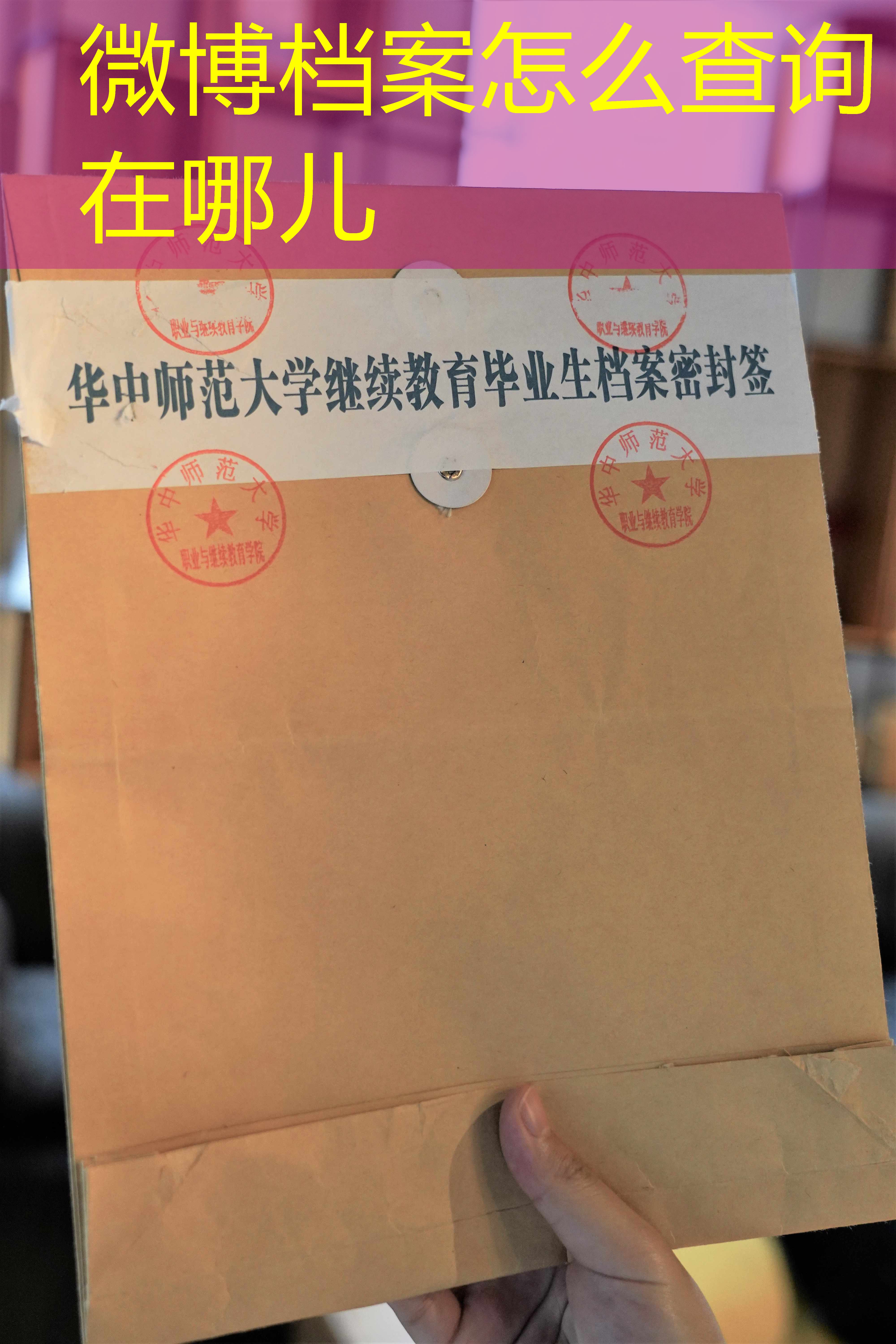 档案查询
