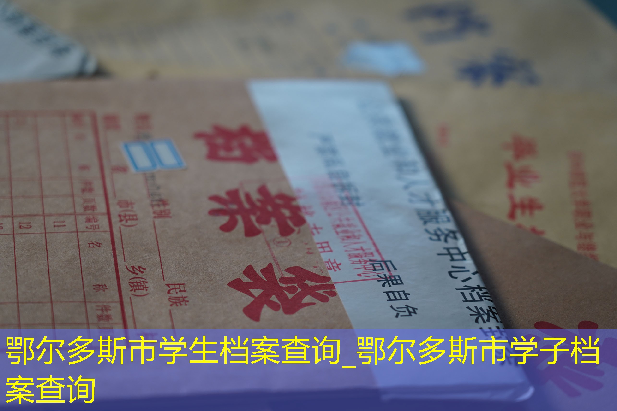 档案查询