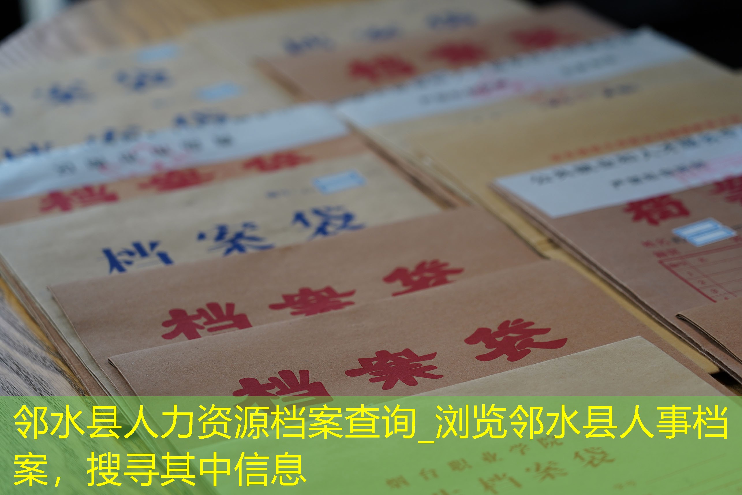 档案查询