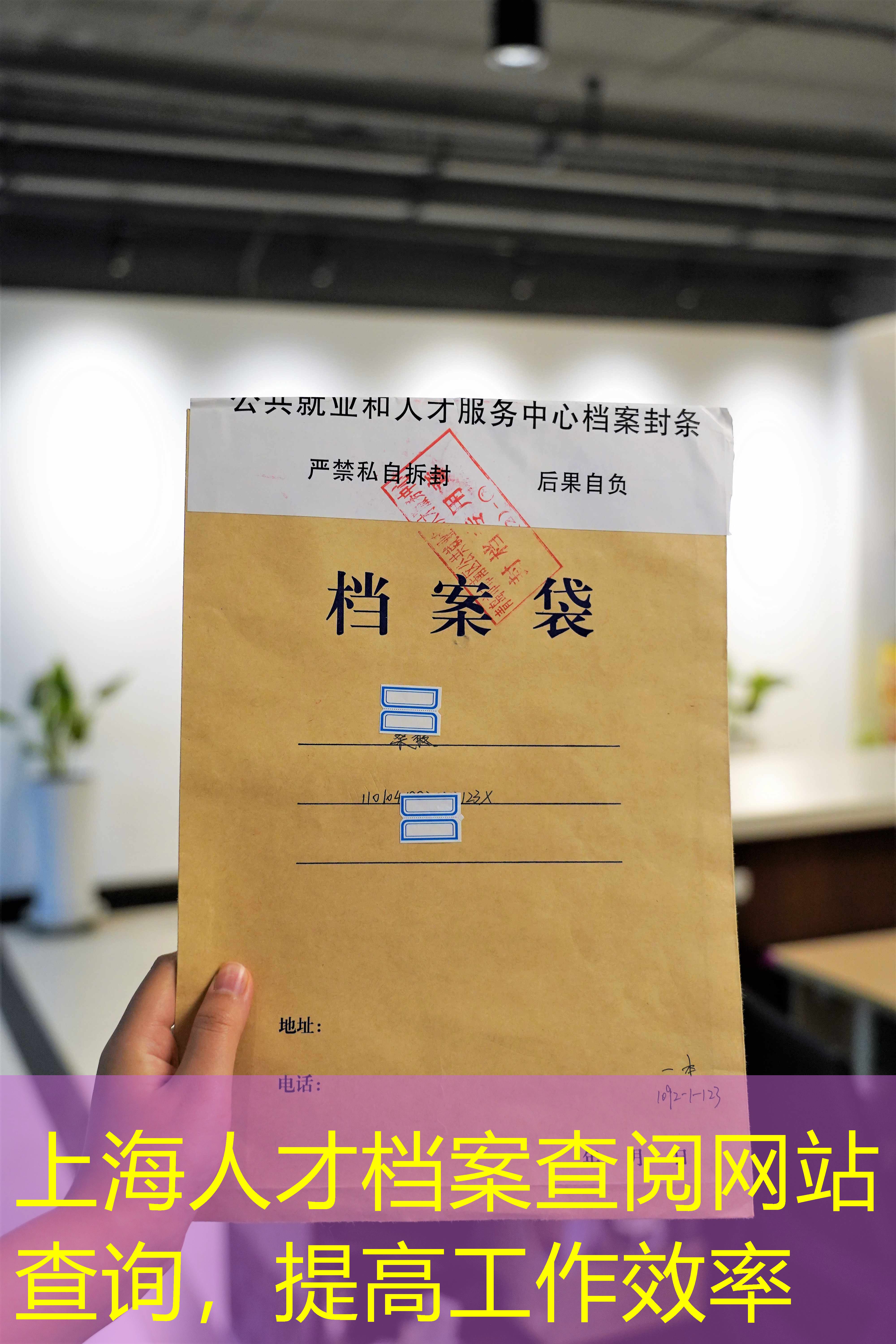 档案查询
