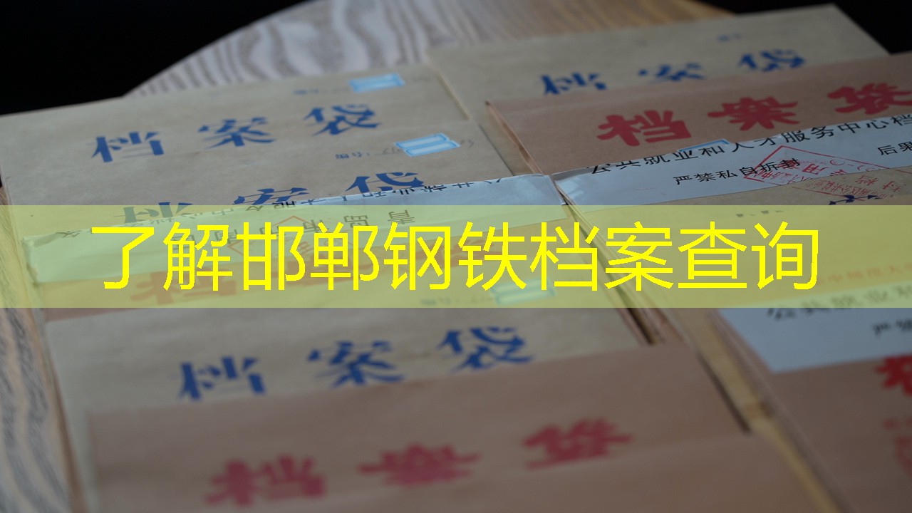档案查询