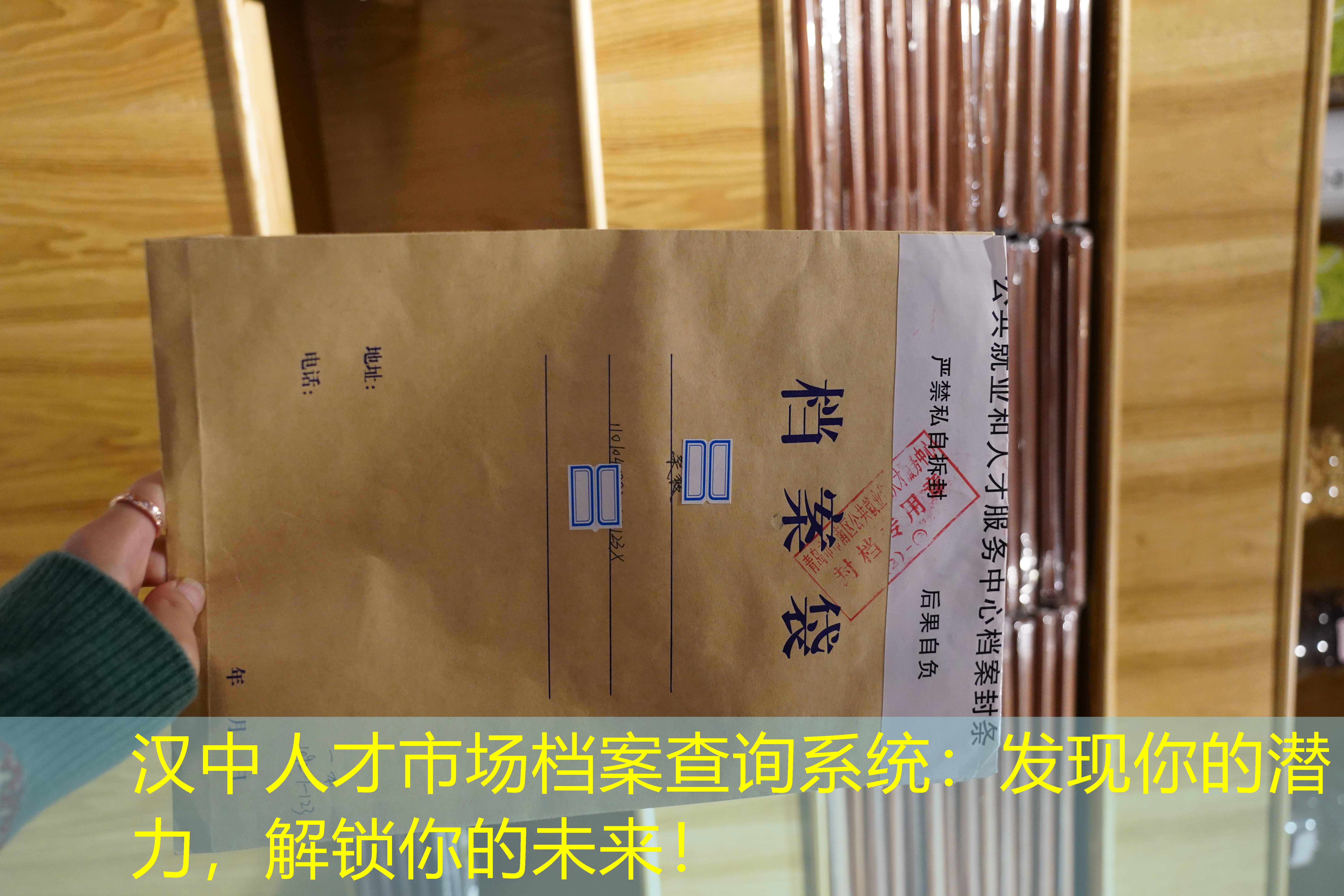 档案查询