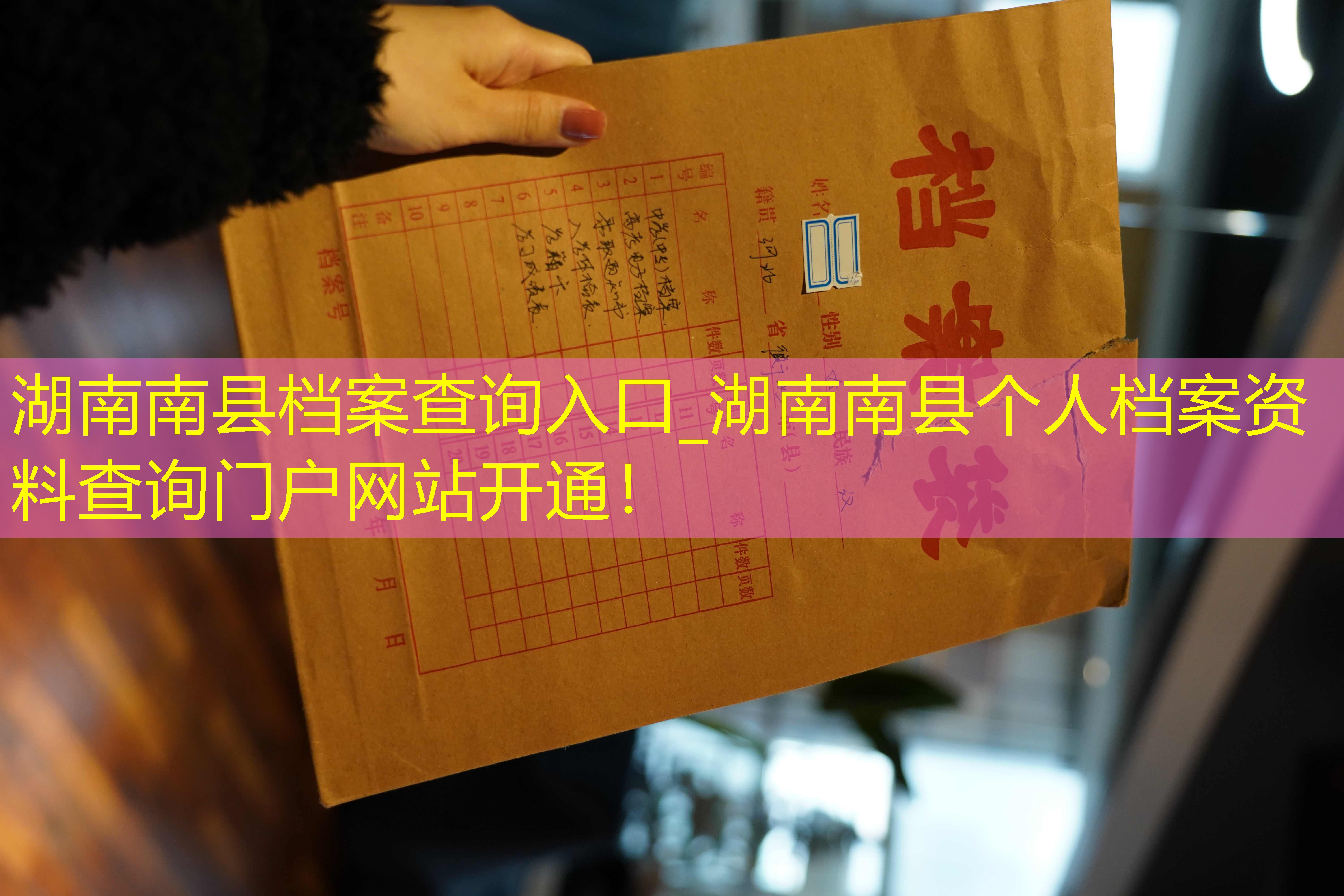 档案查询