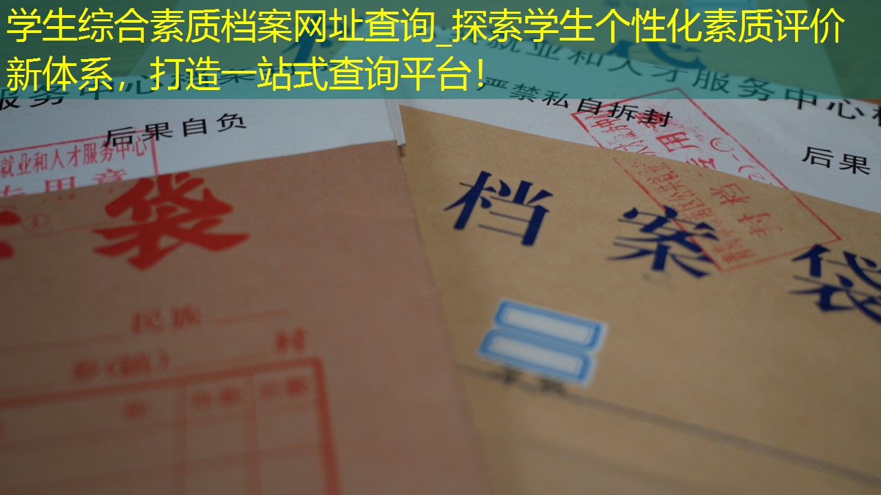档案查询
