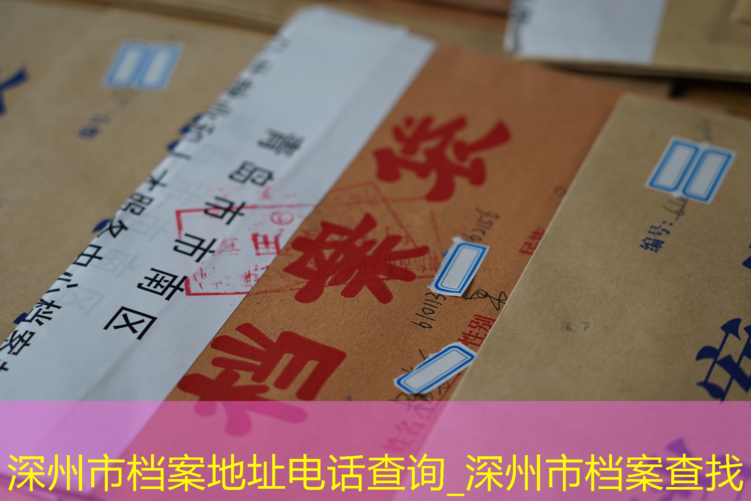 档案查询
