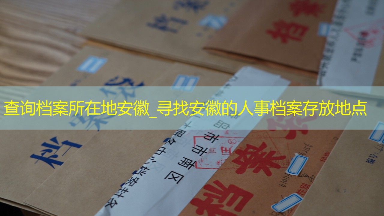 档案查询