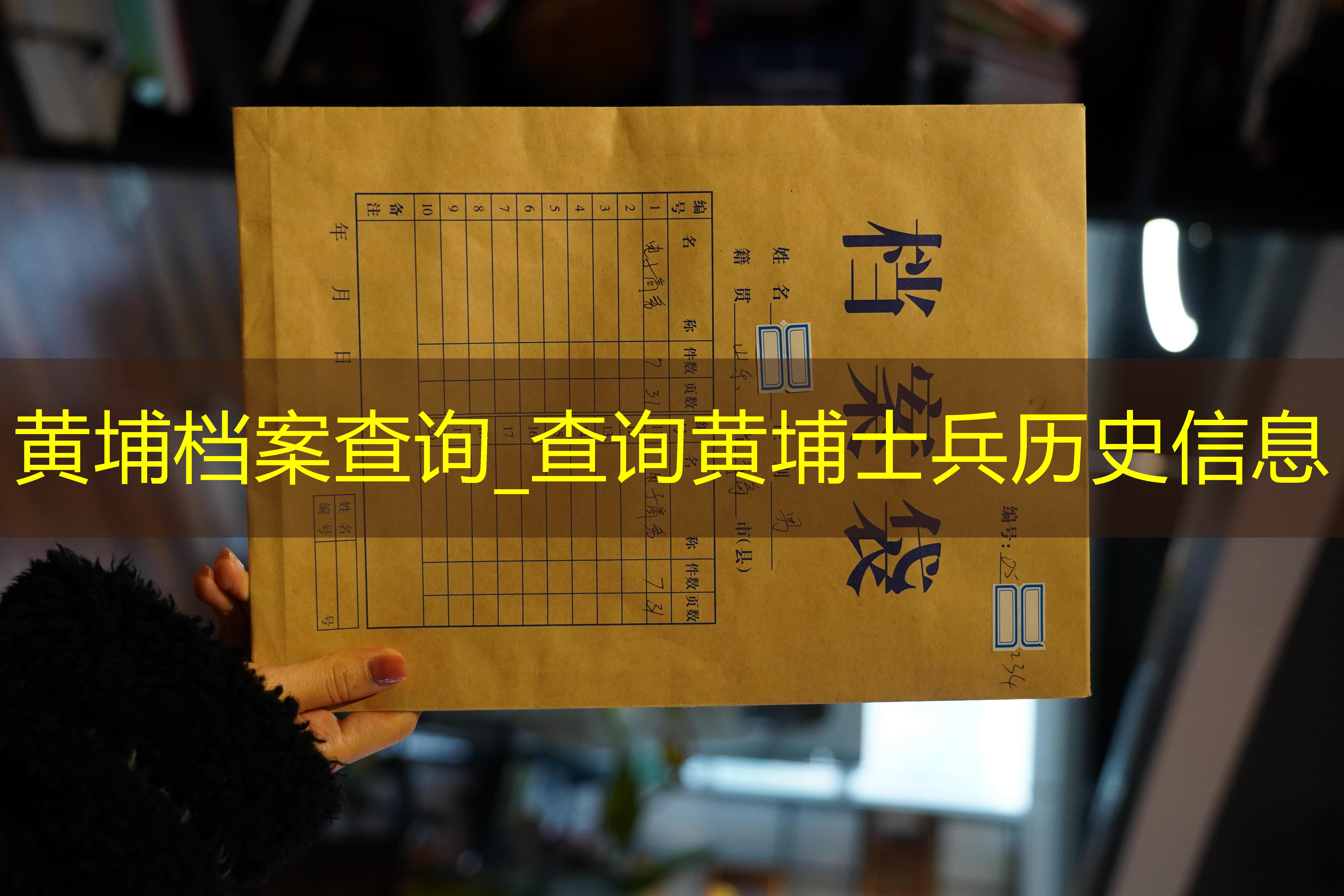 档案查询