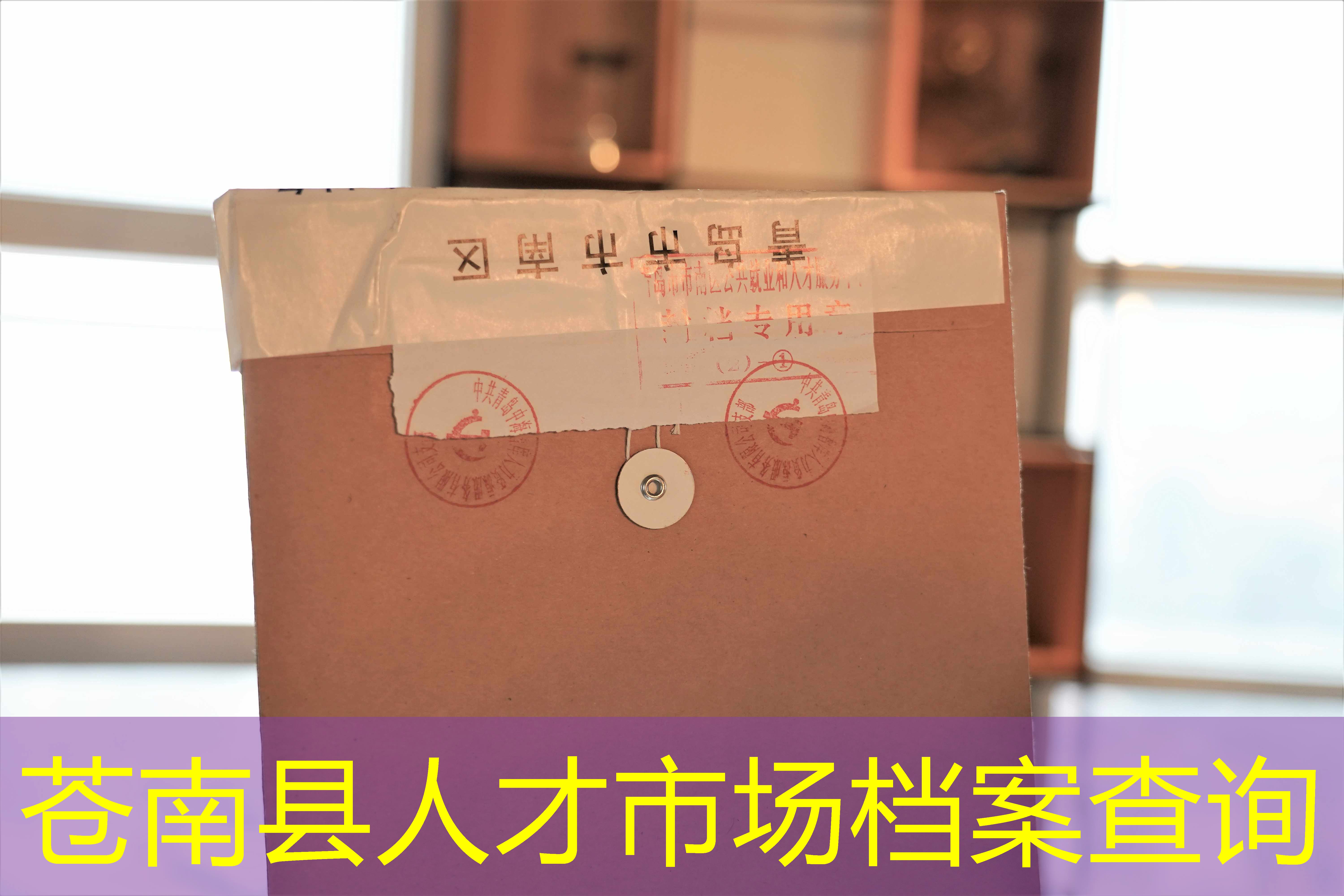 档案查询