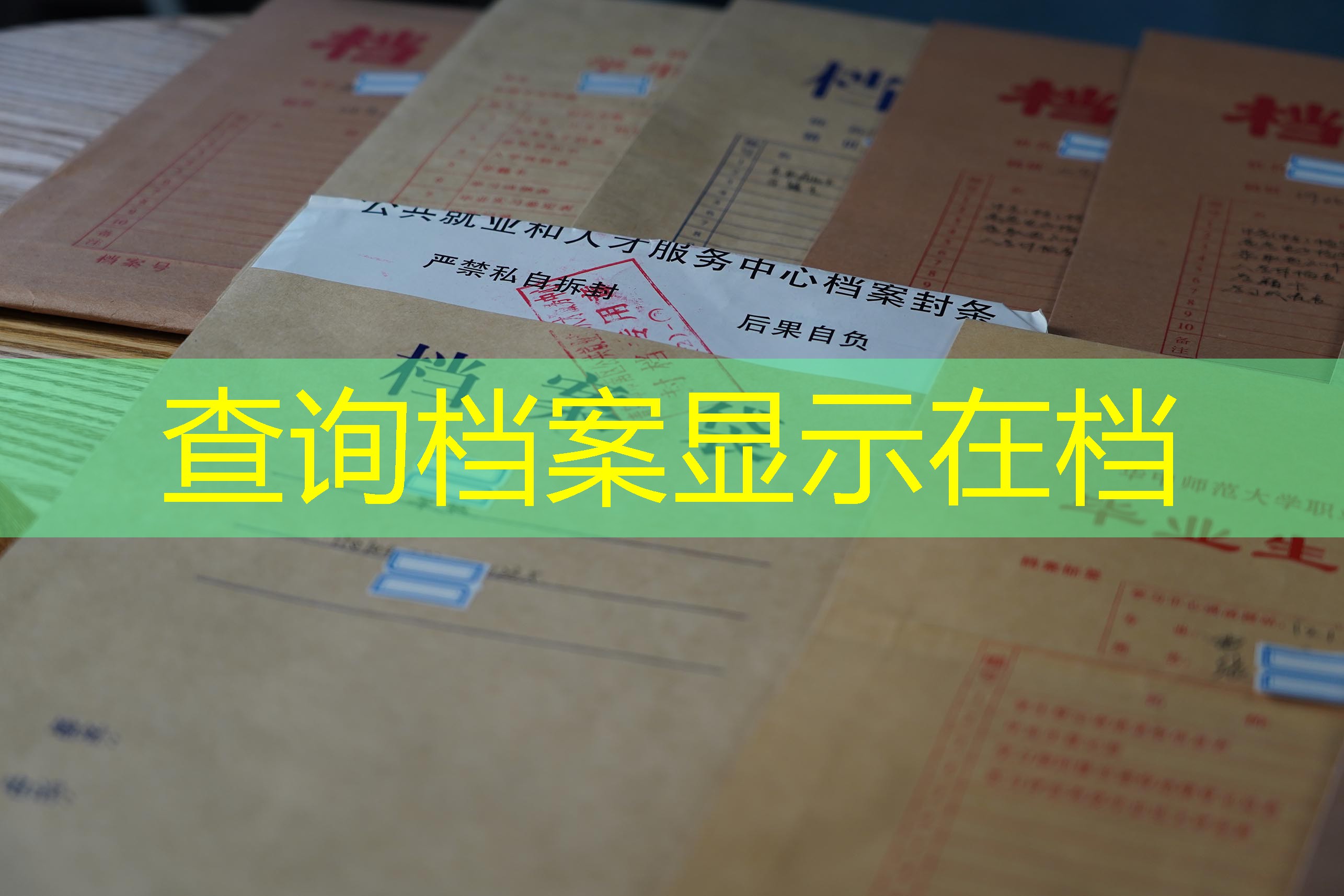 档案查询