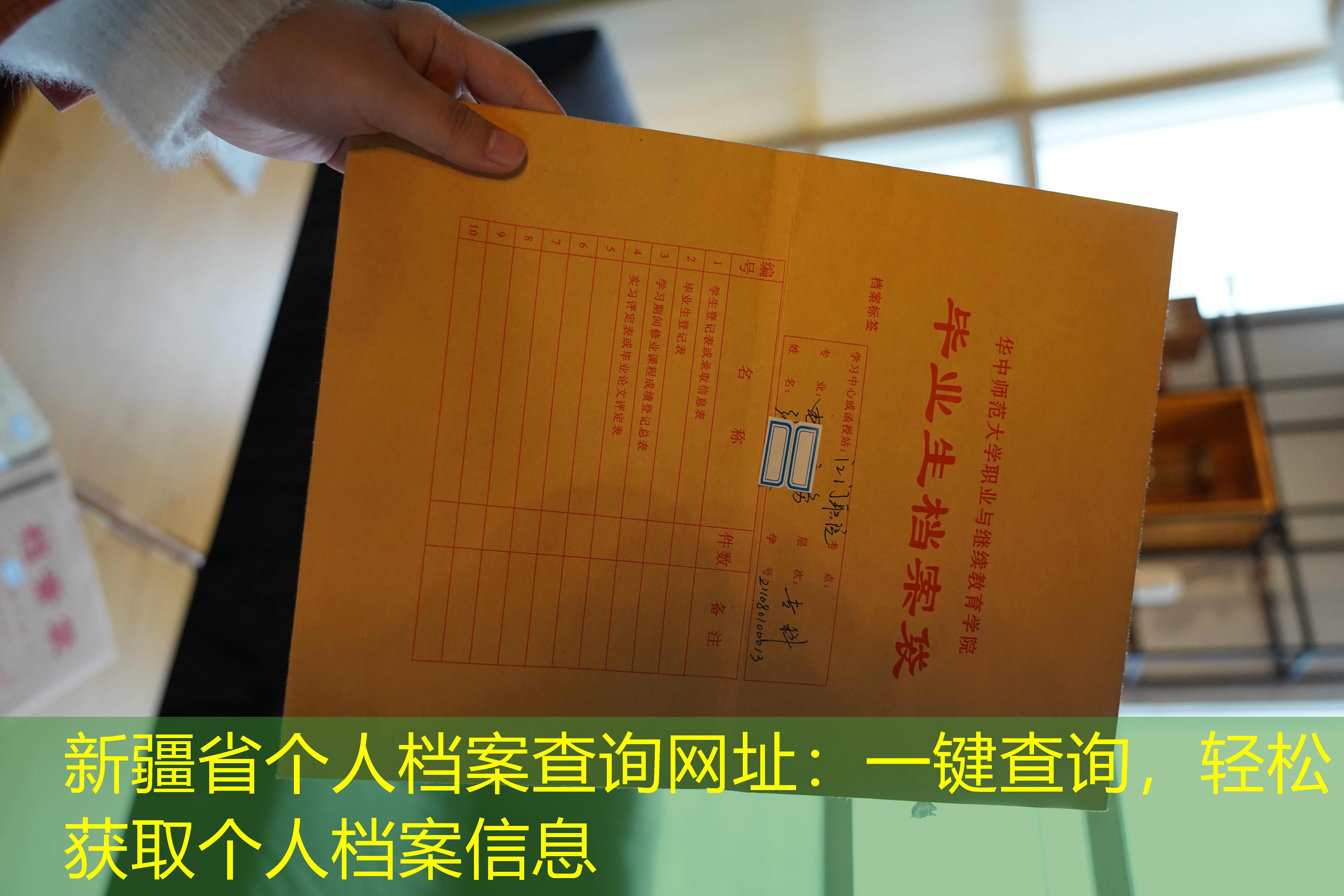 档案查询