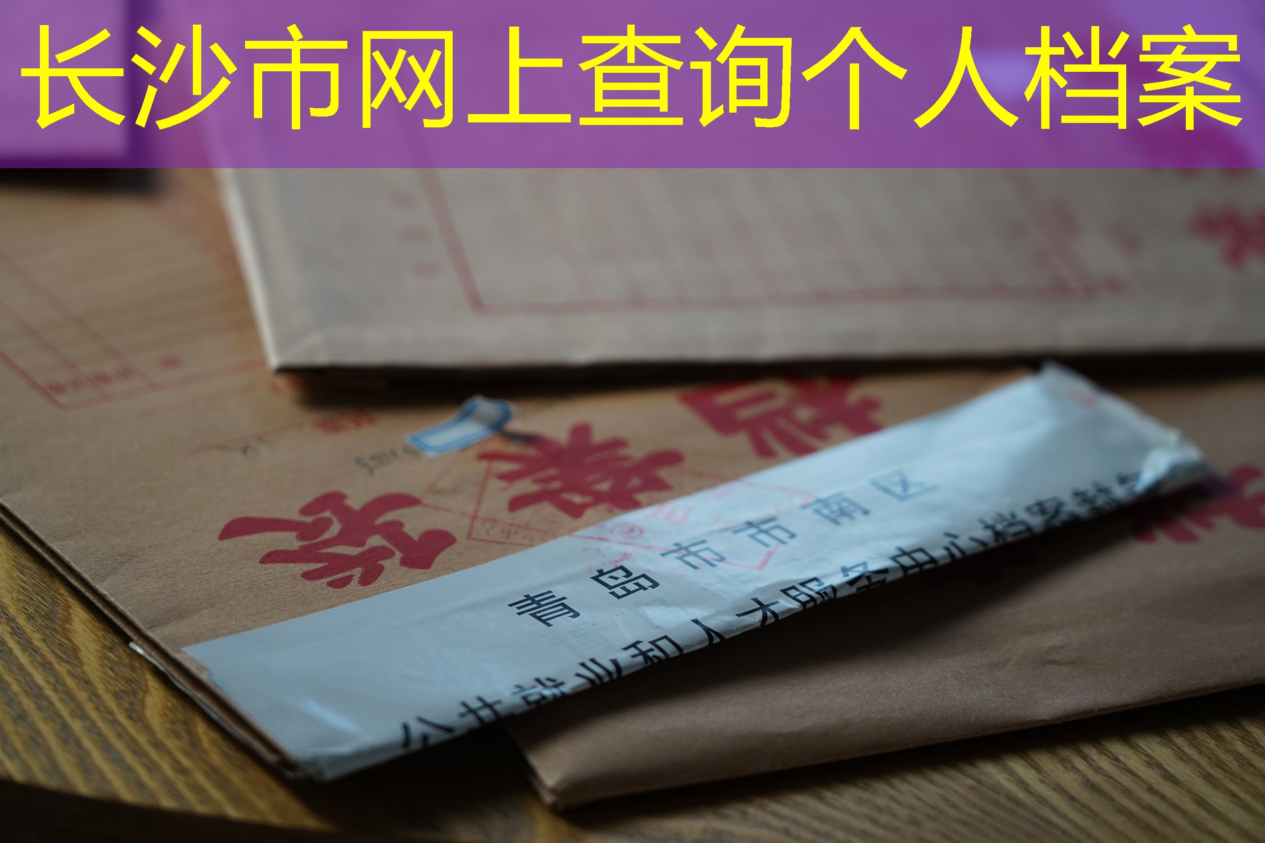 档案查询
