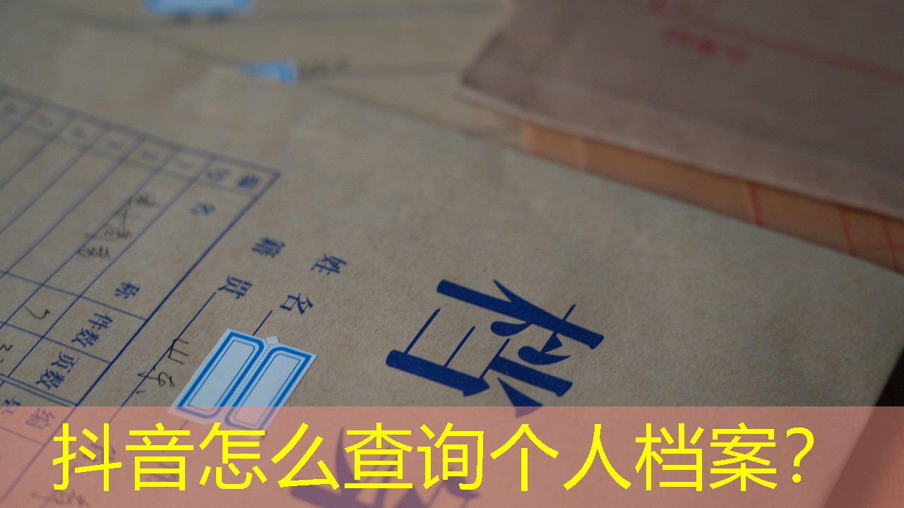 档案查询