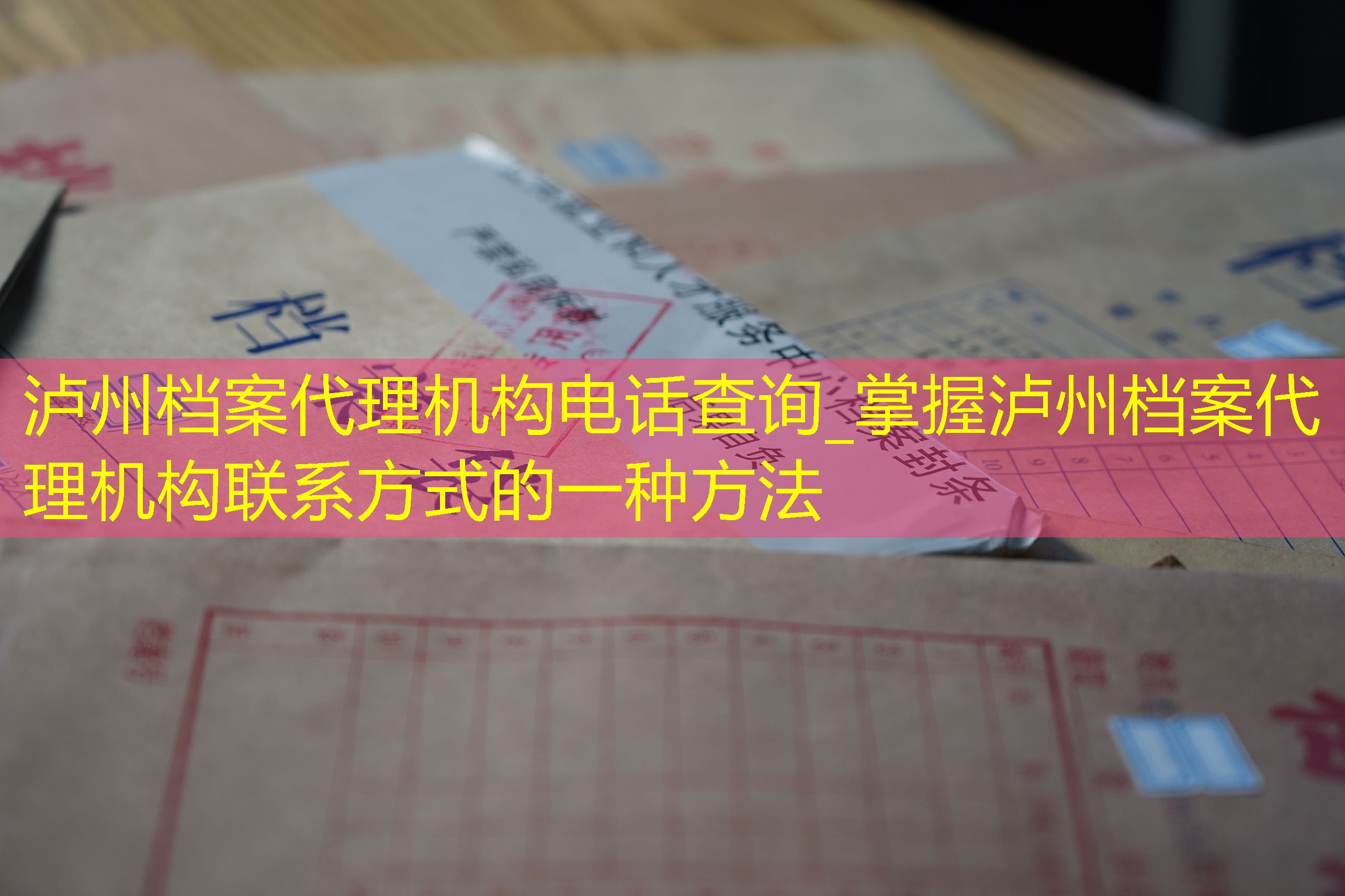 档案查询