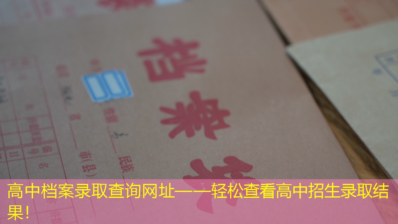 档案查询
