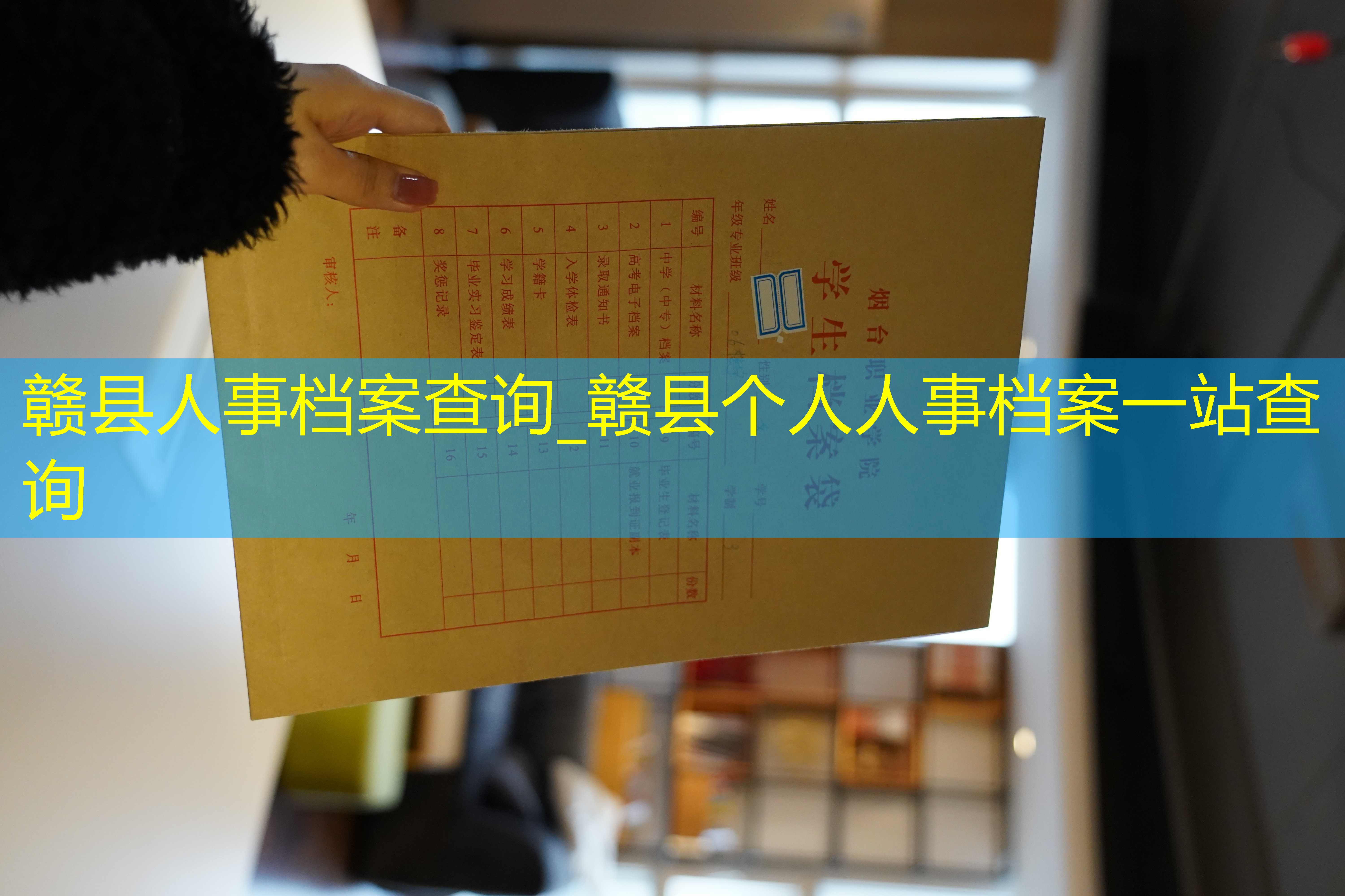 档案查询
