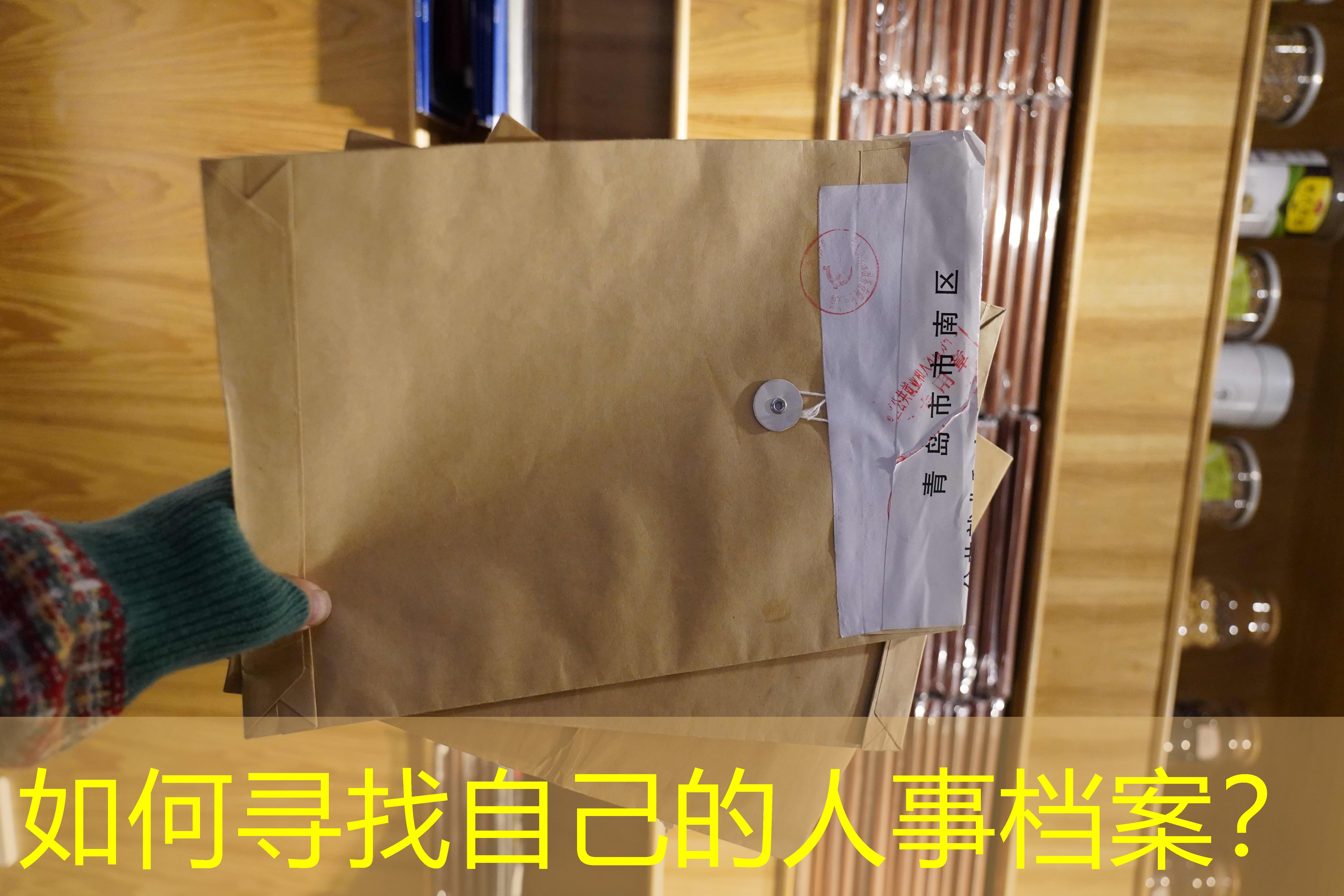 档案查询