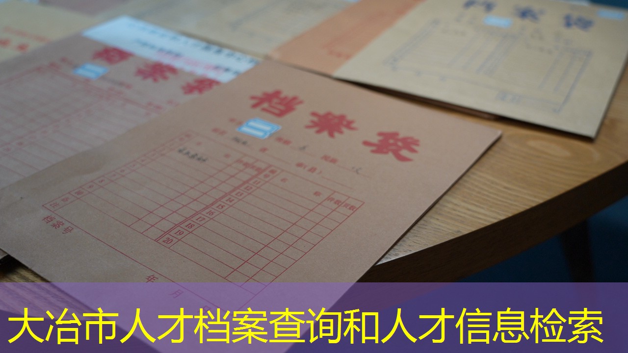 档案查询