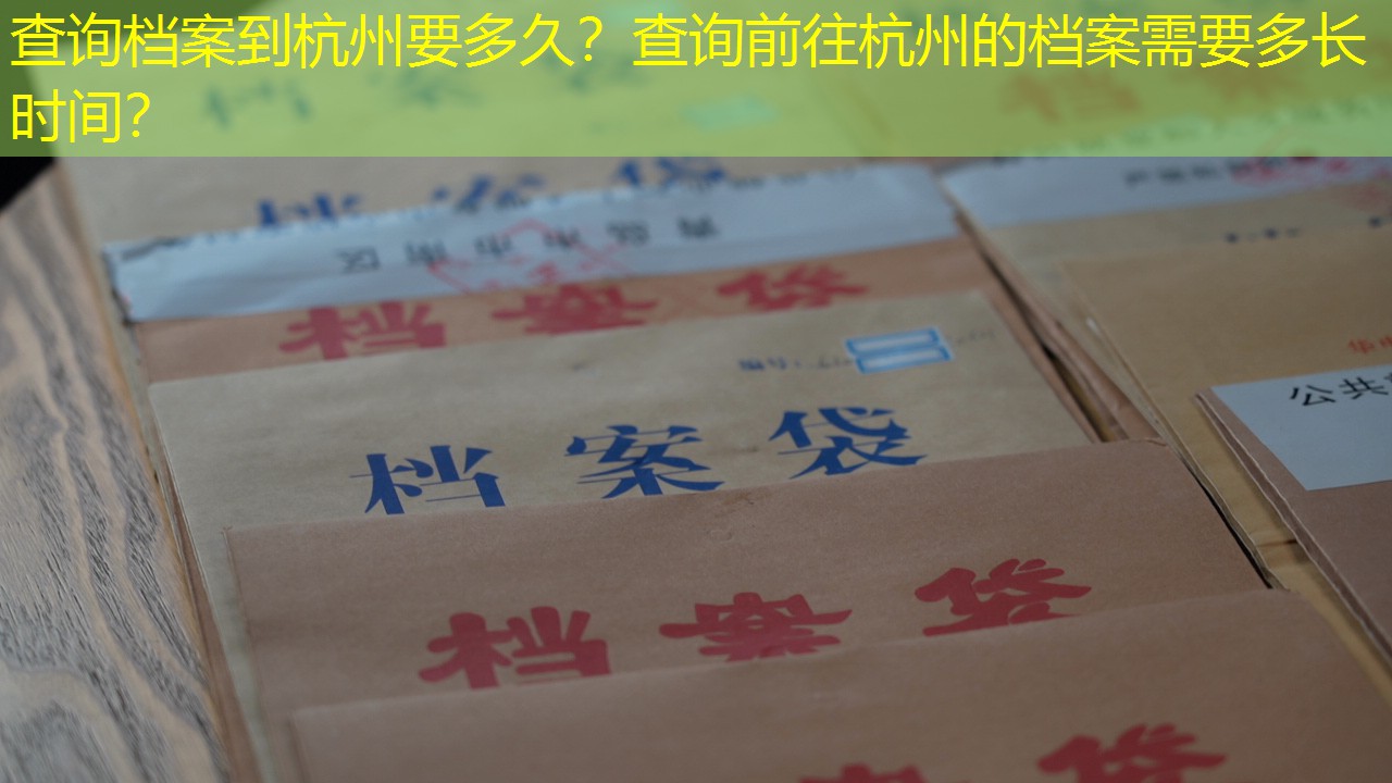 档案查询