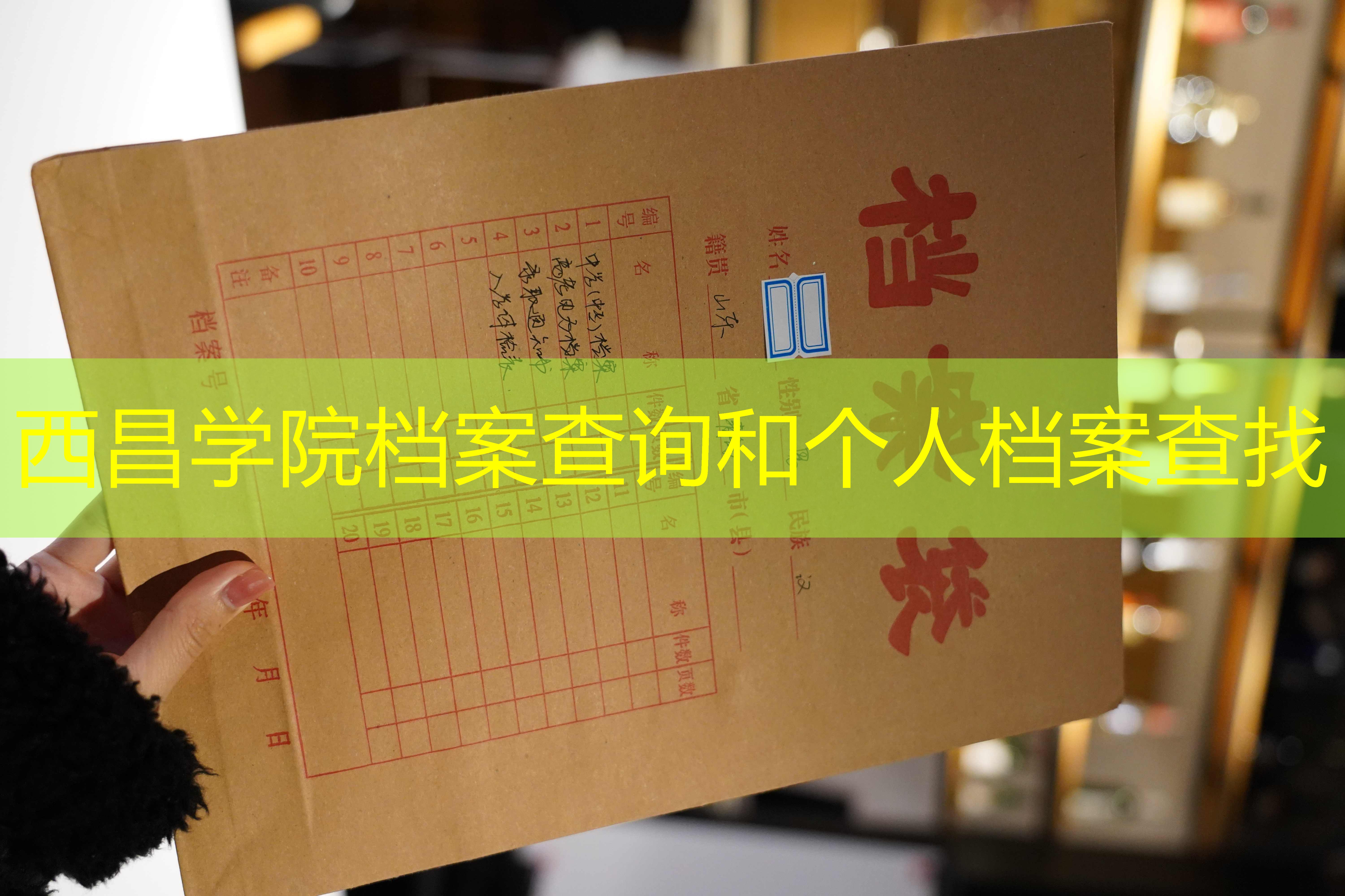 档案查询