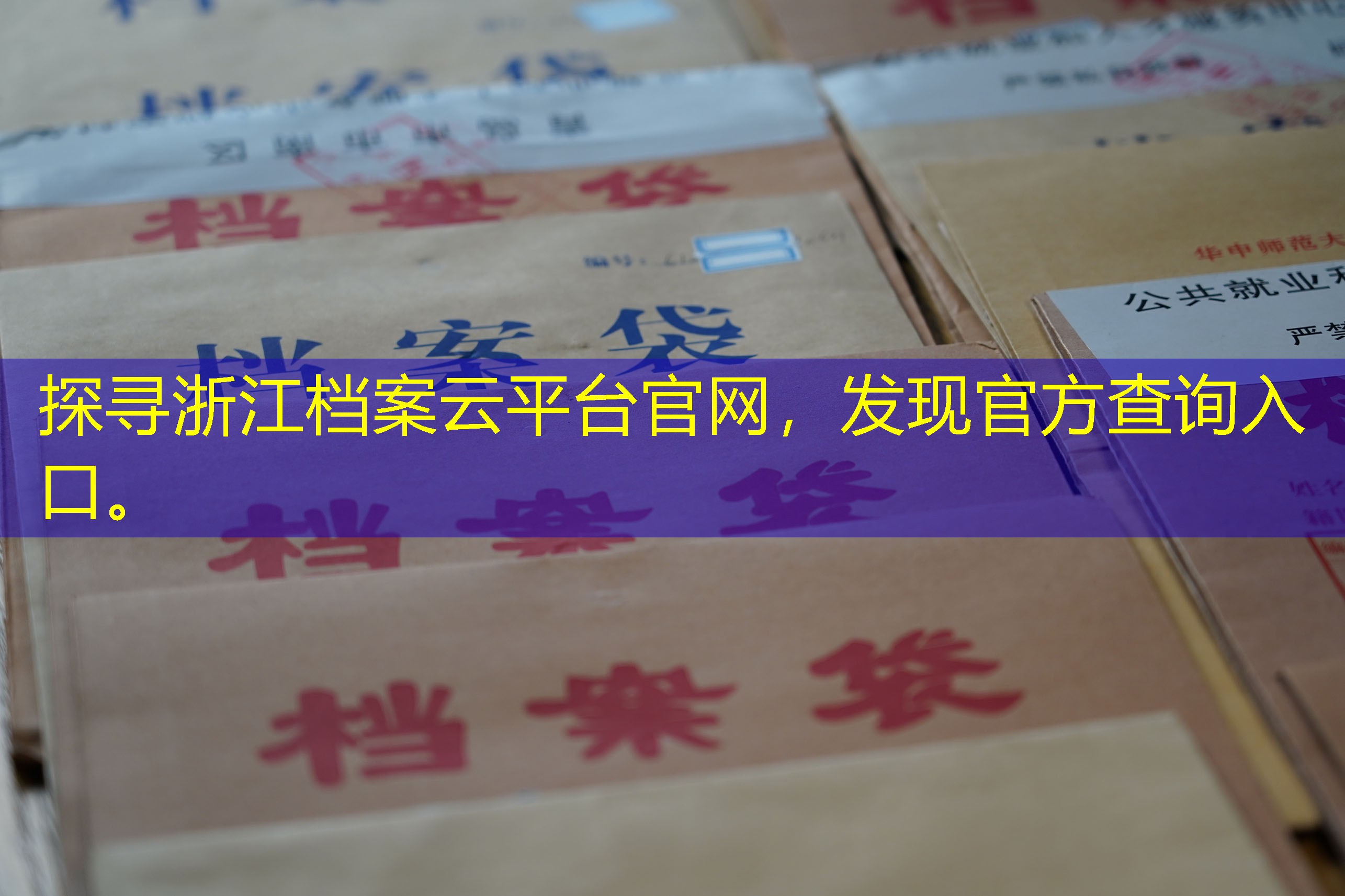 档案查询