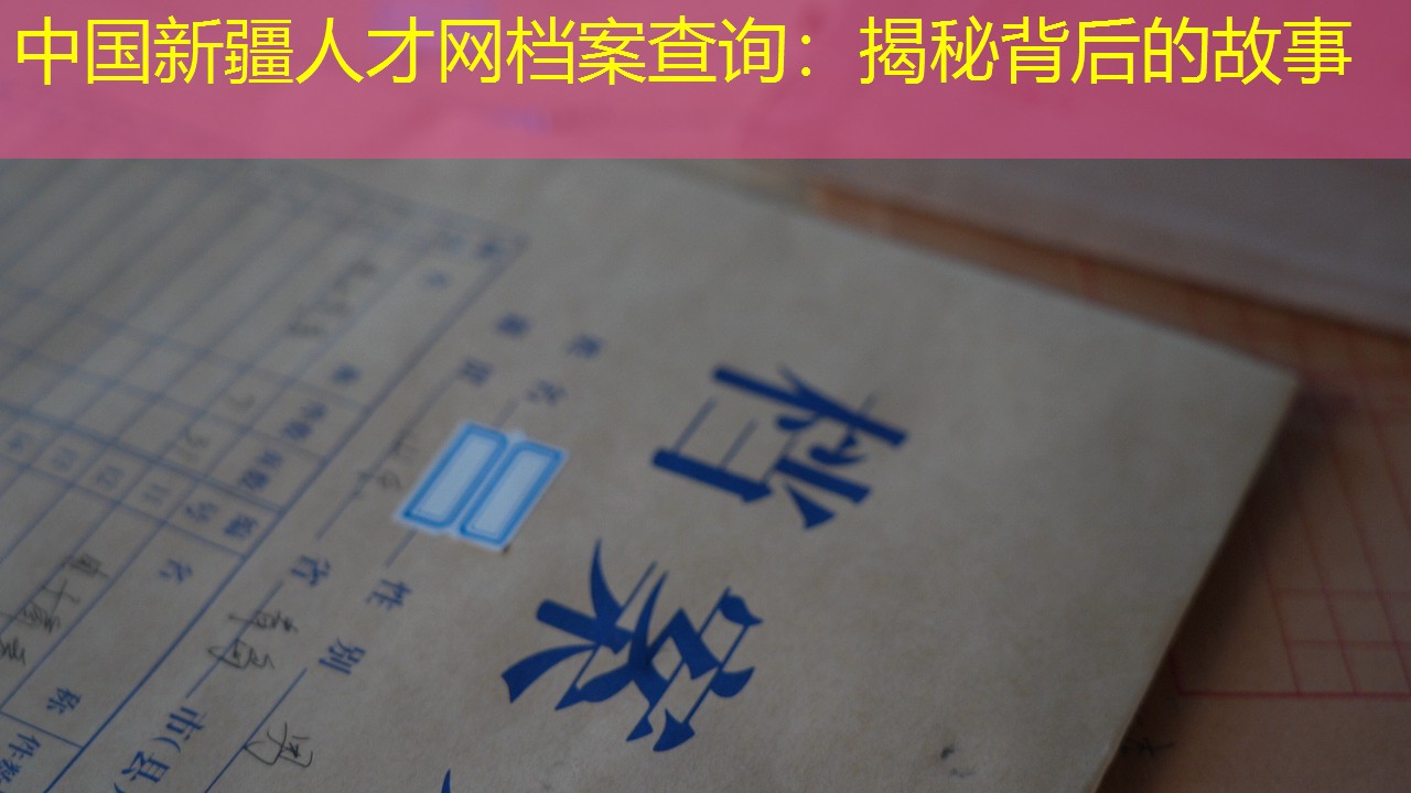 档案查询