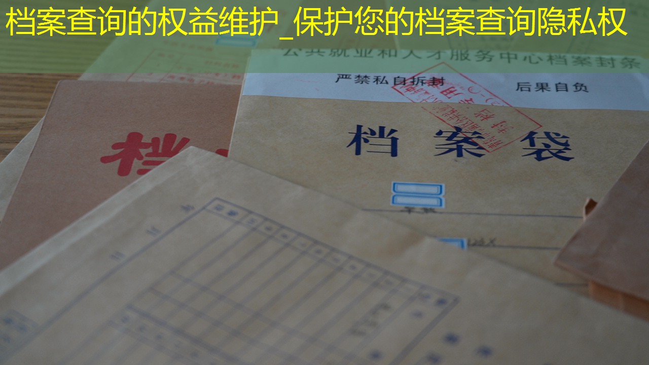 档案查询