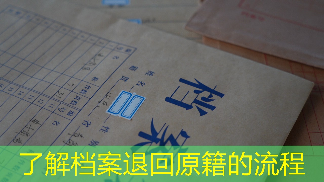 档案查询