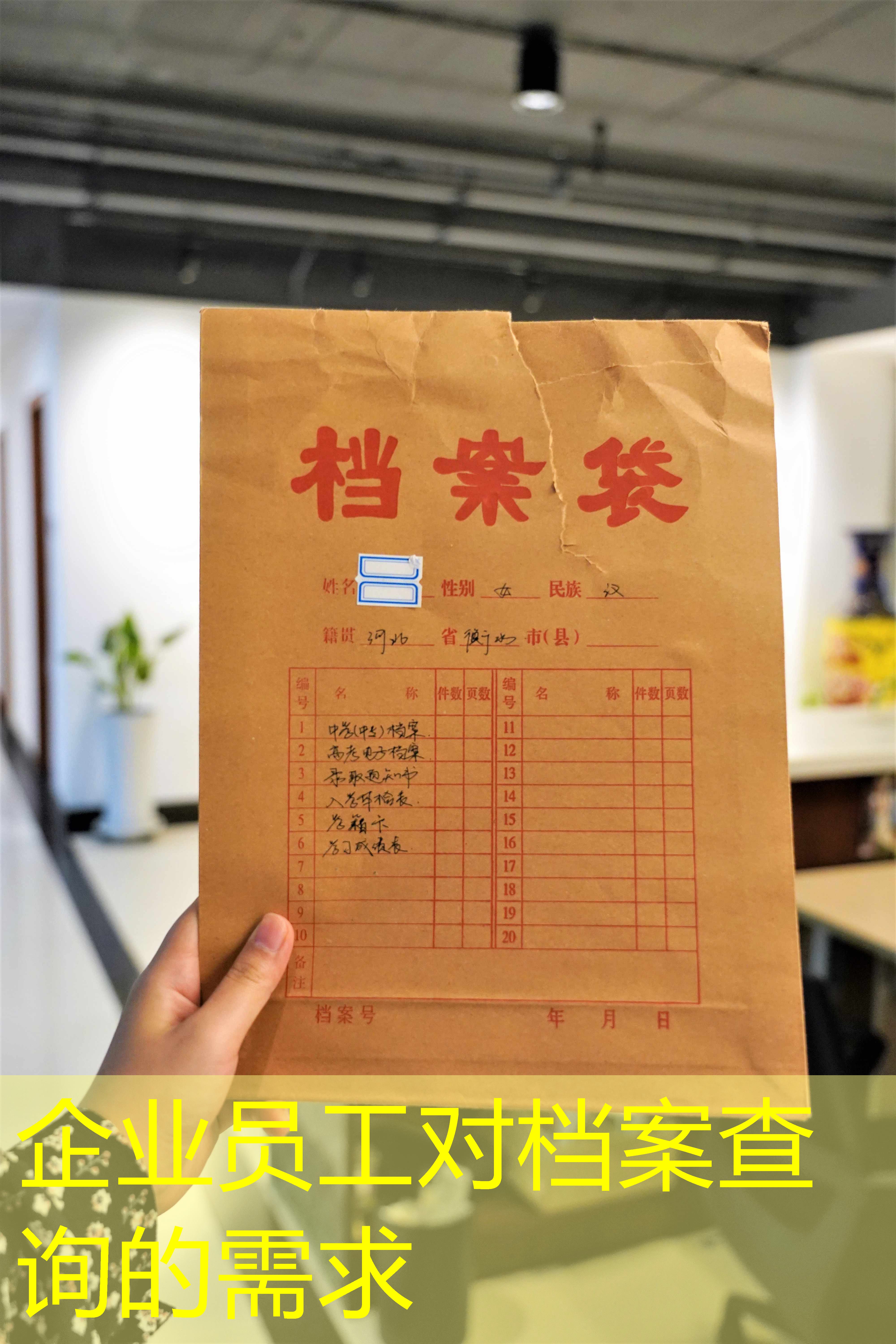 档案查询