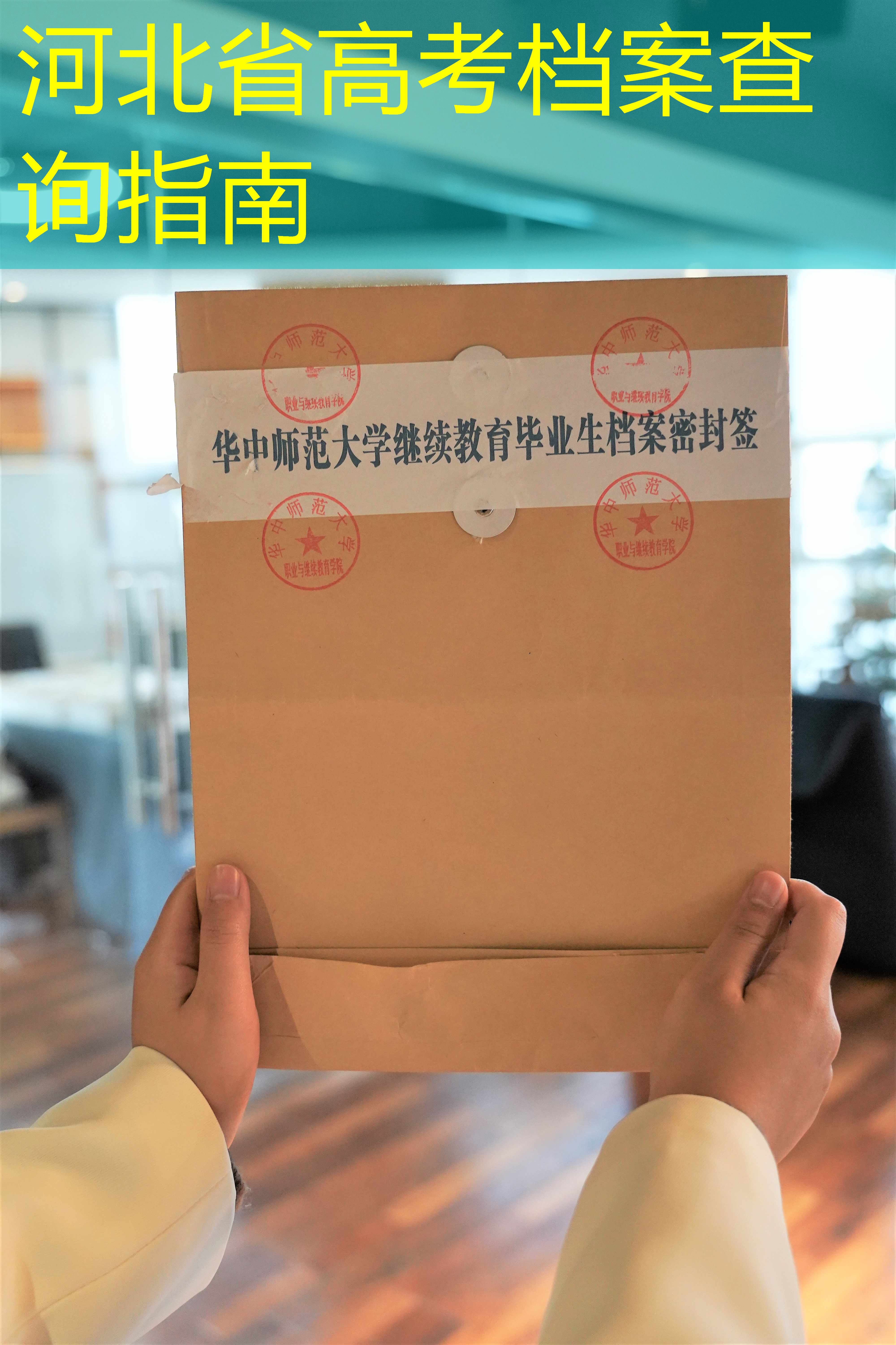 档案查询