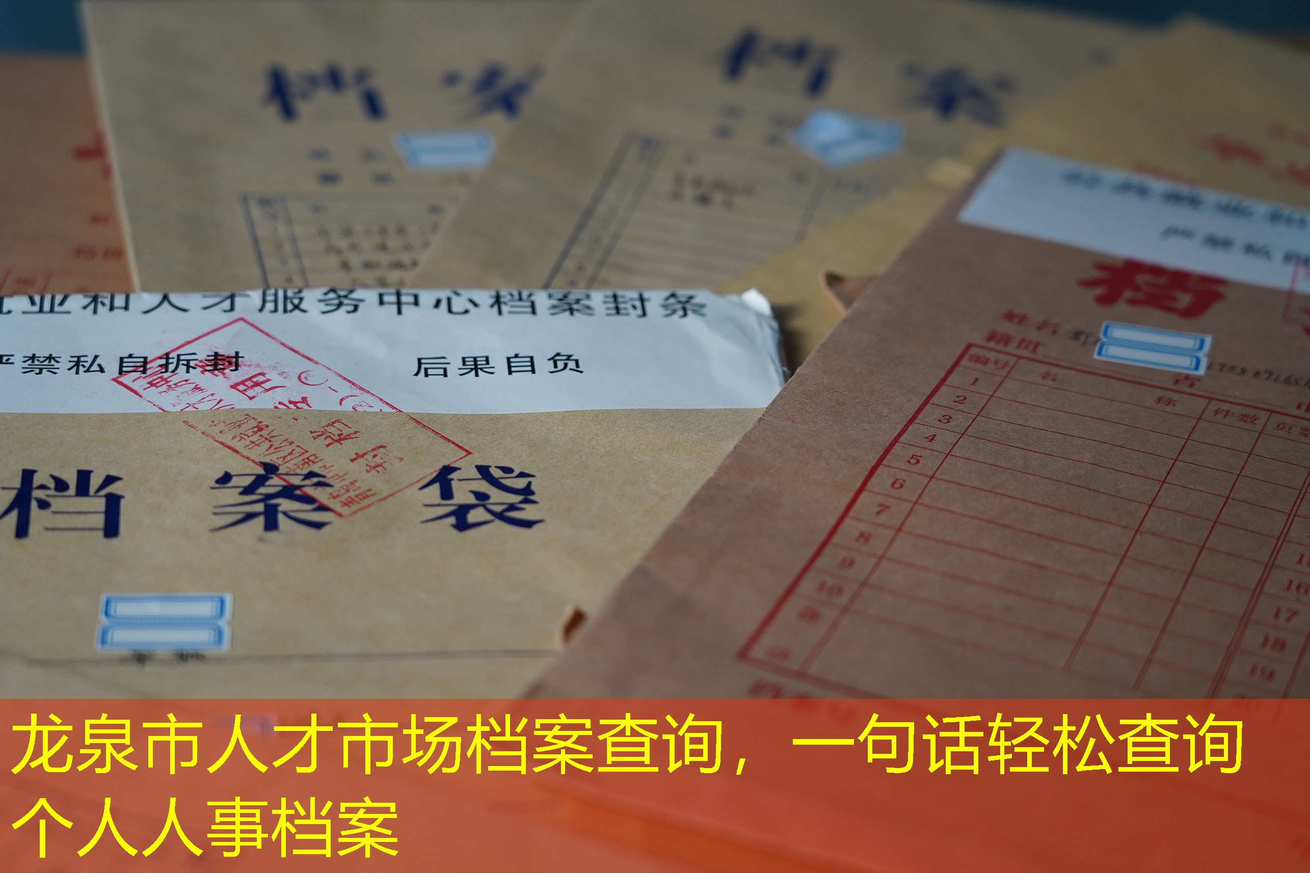 档案查询