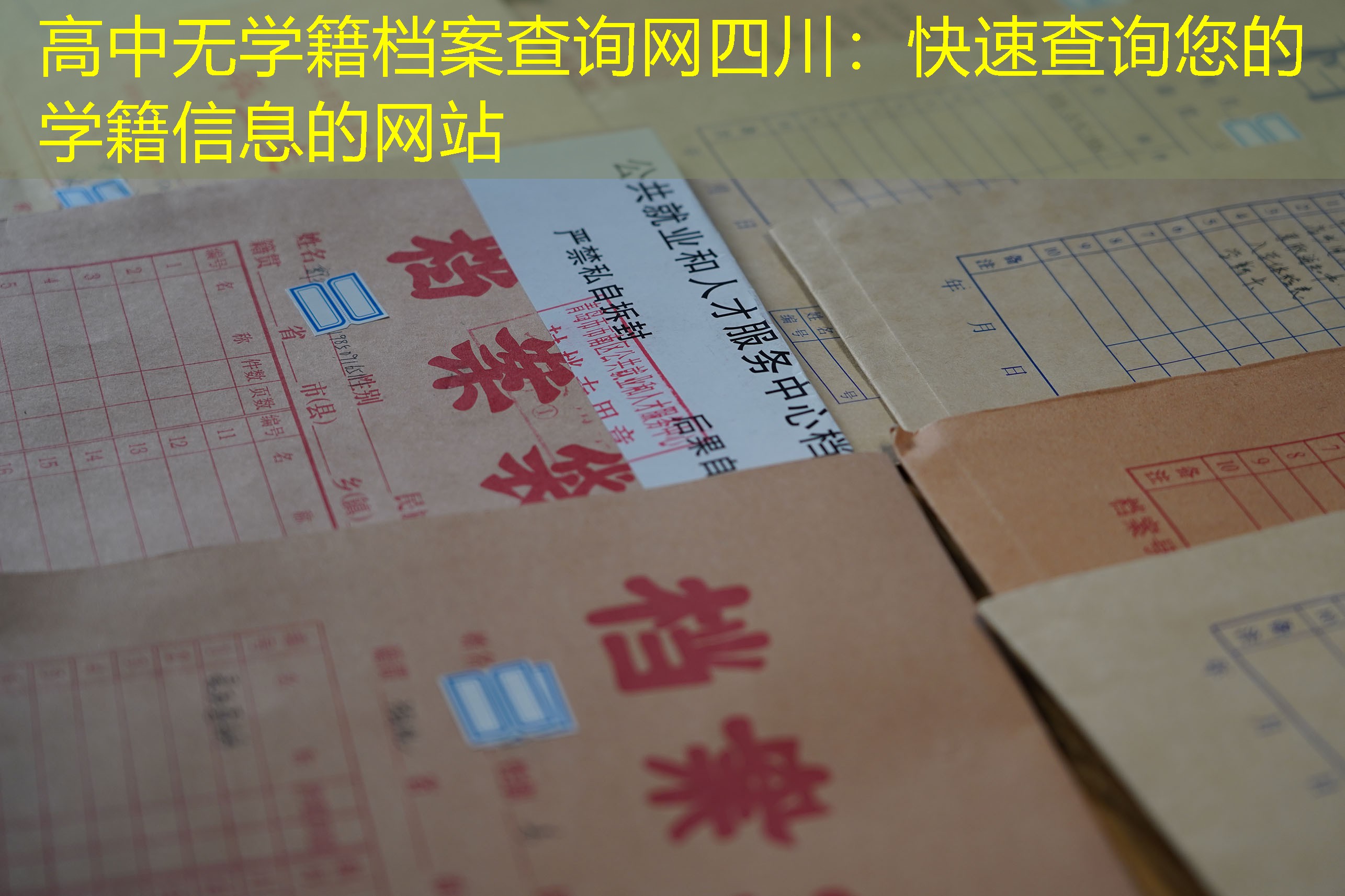 档案查询