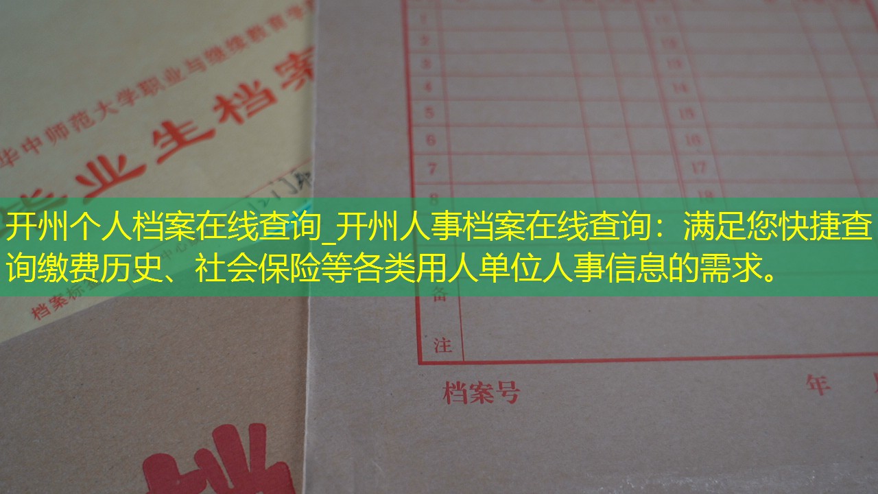 档案查询
