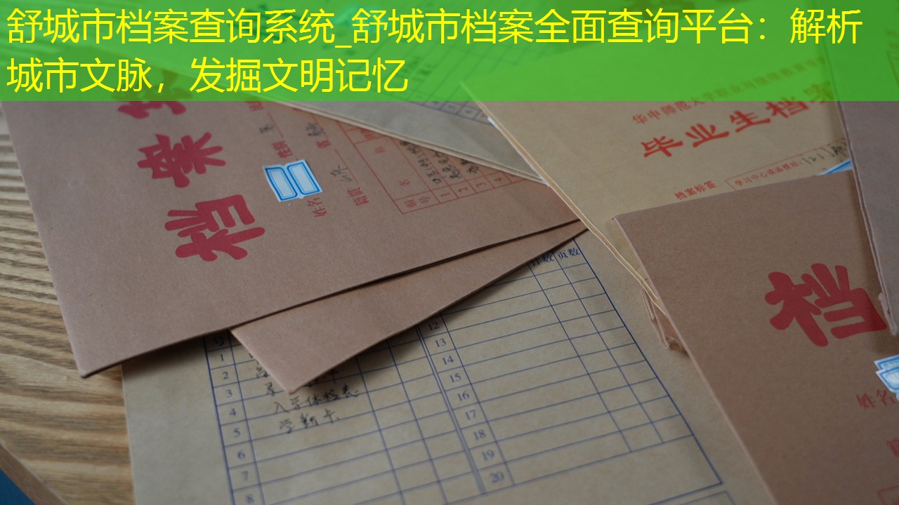 档案查询