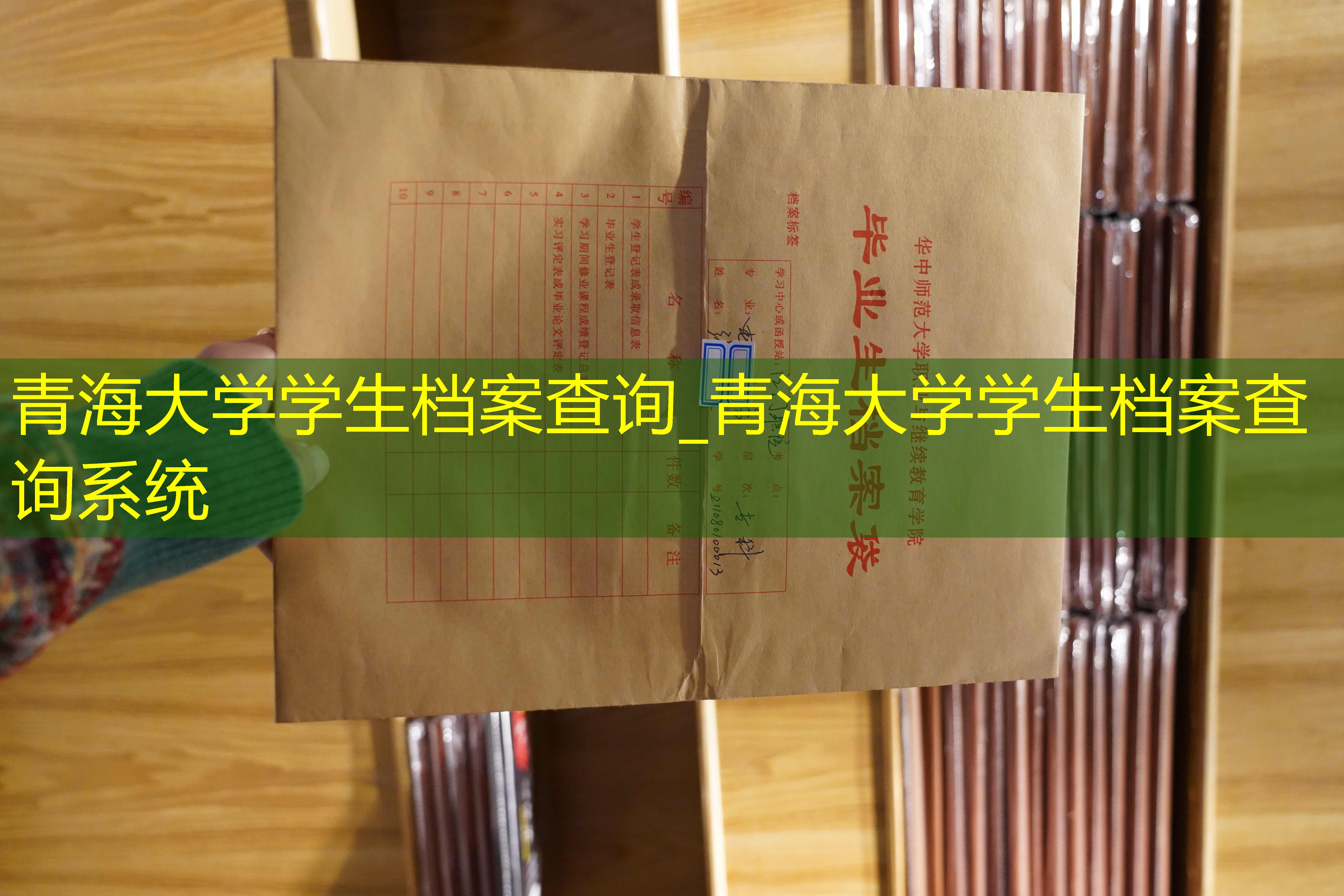 档案查询