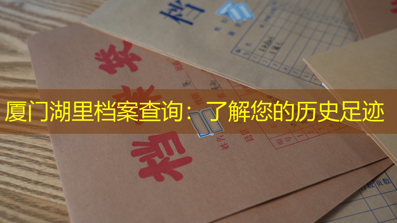 档案查询