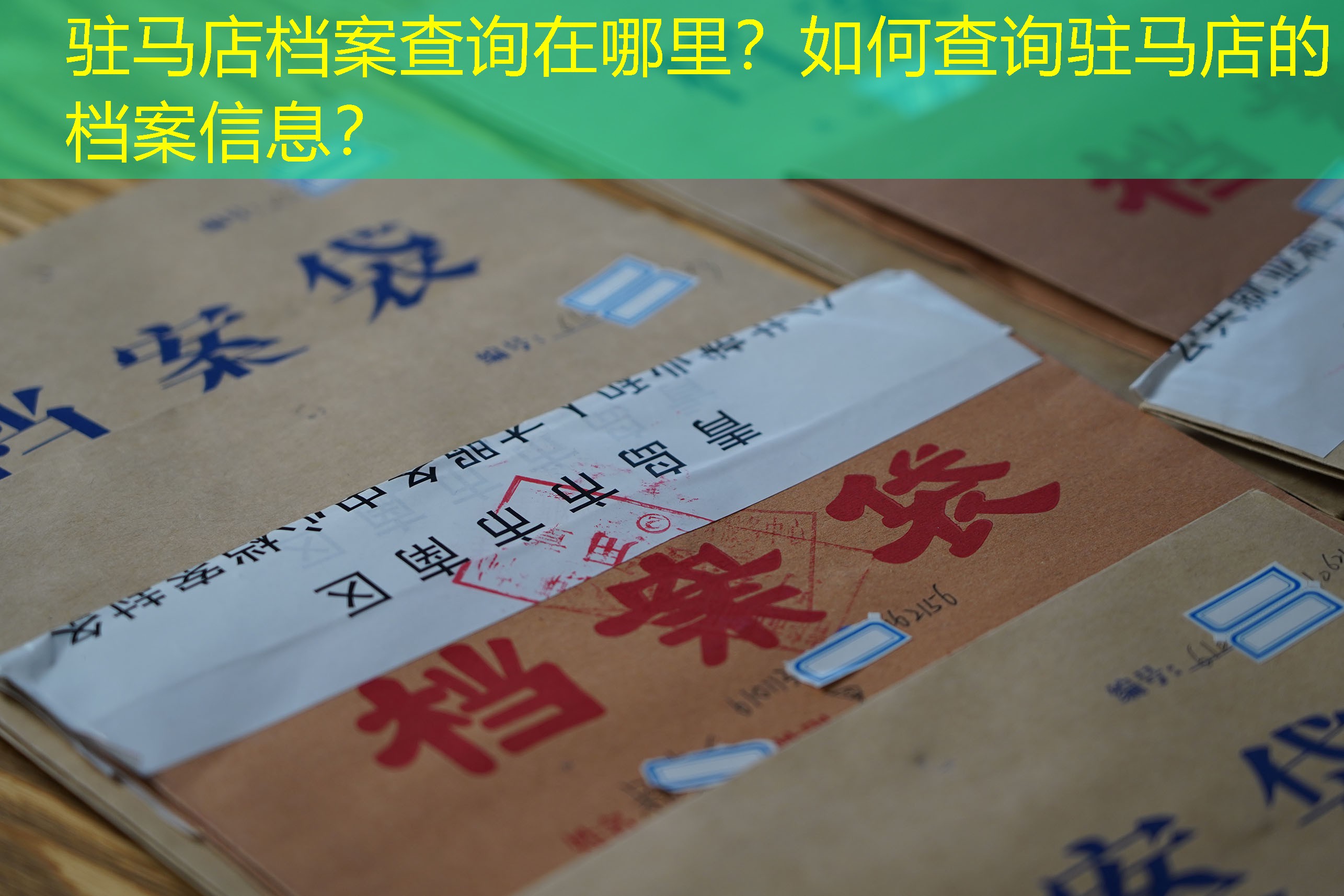 档案查询