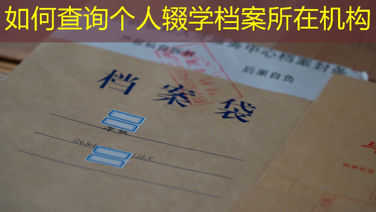档案查询
